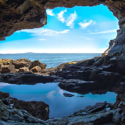 Photograph Anemone Sea Cave