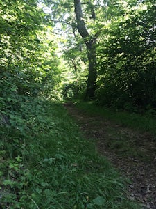 Backpack Reeds Gap to Rockfish Gap