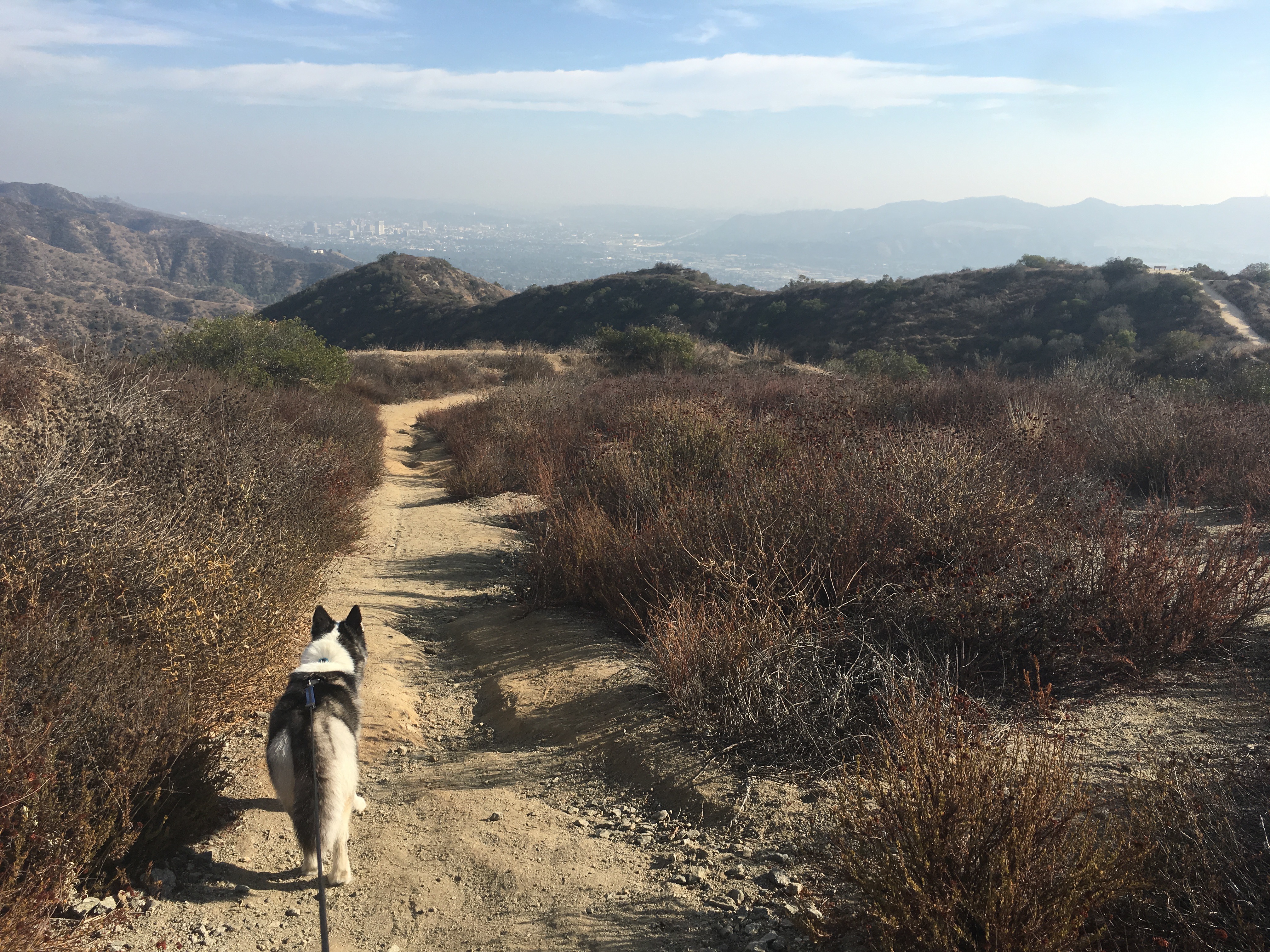 Old Youth Camp Loop
