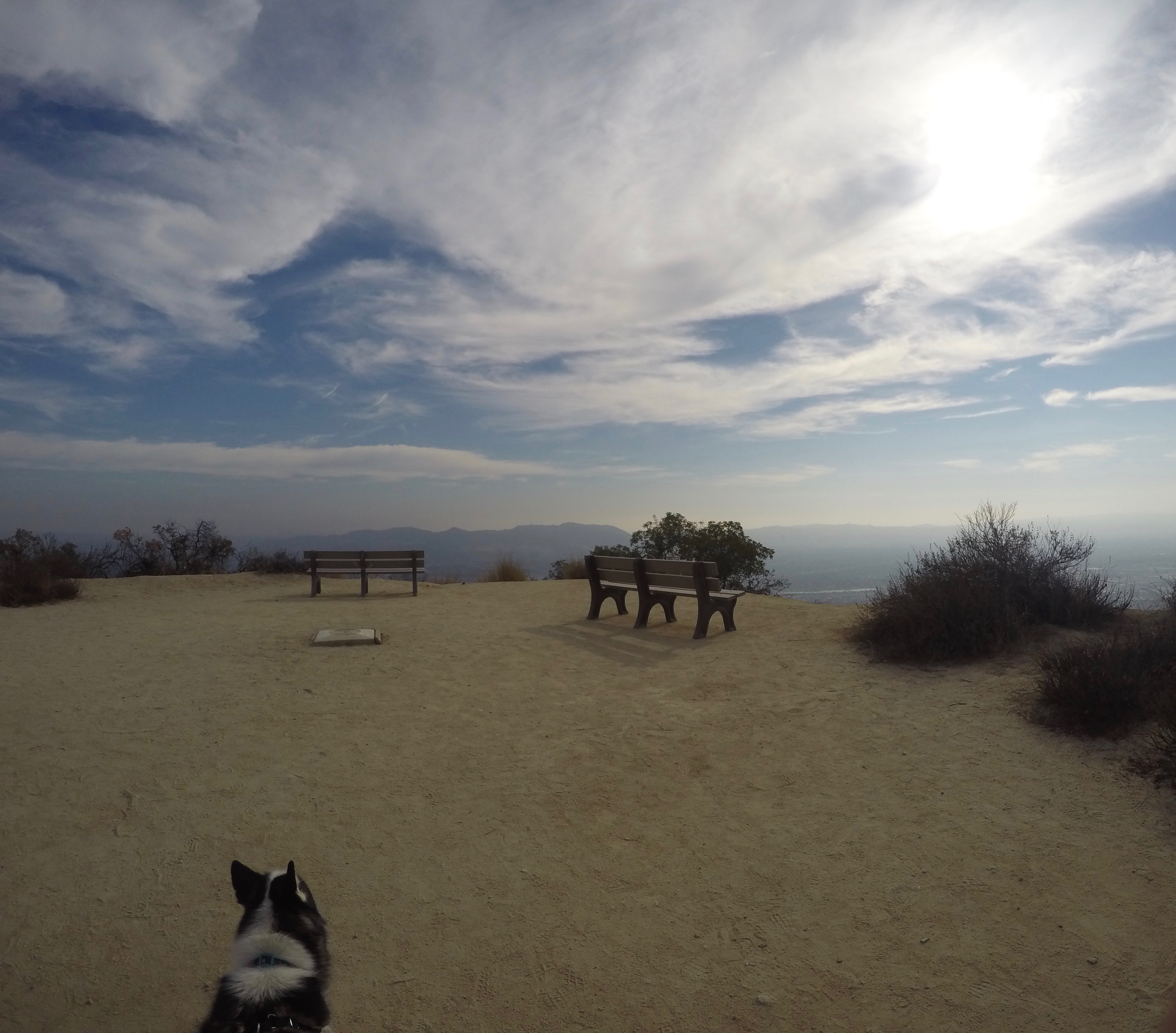 Old Youth Camp Loop