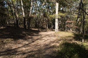 Hike Hidden Springs Trail