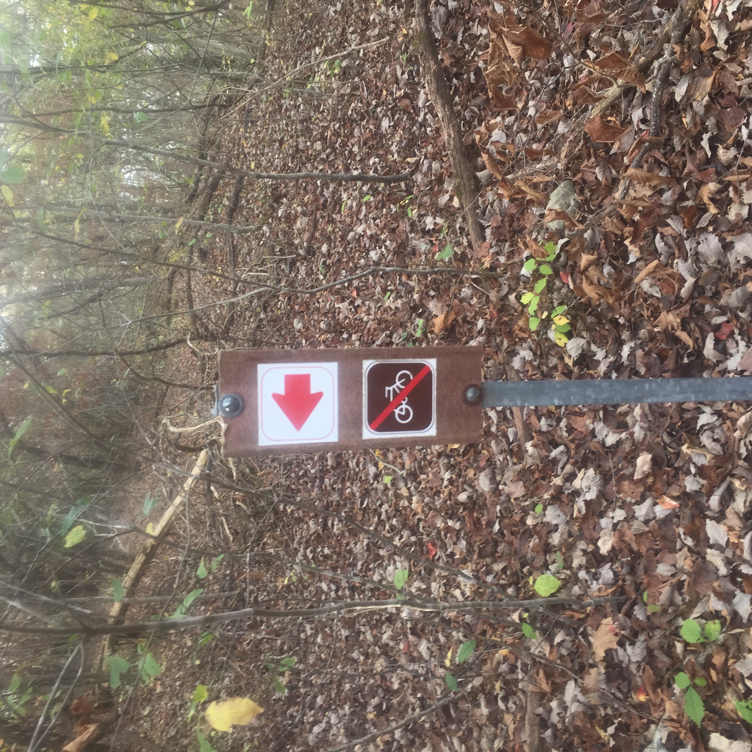 Hike the Boulder Ridge Trail