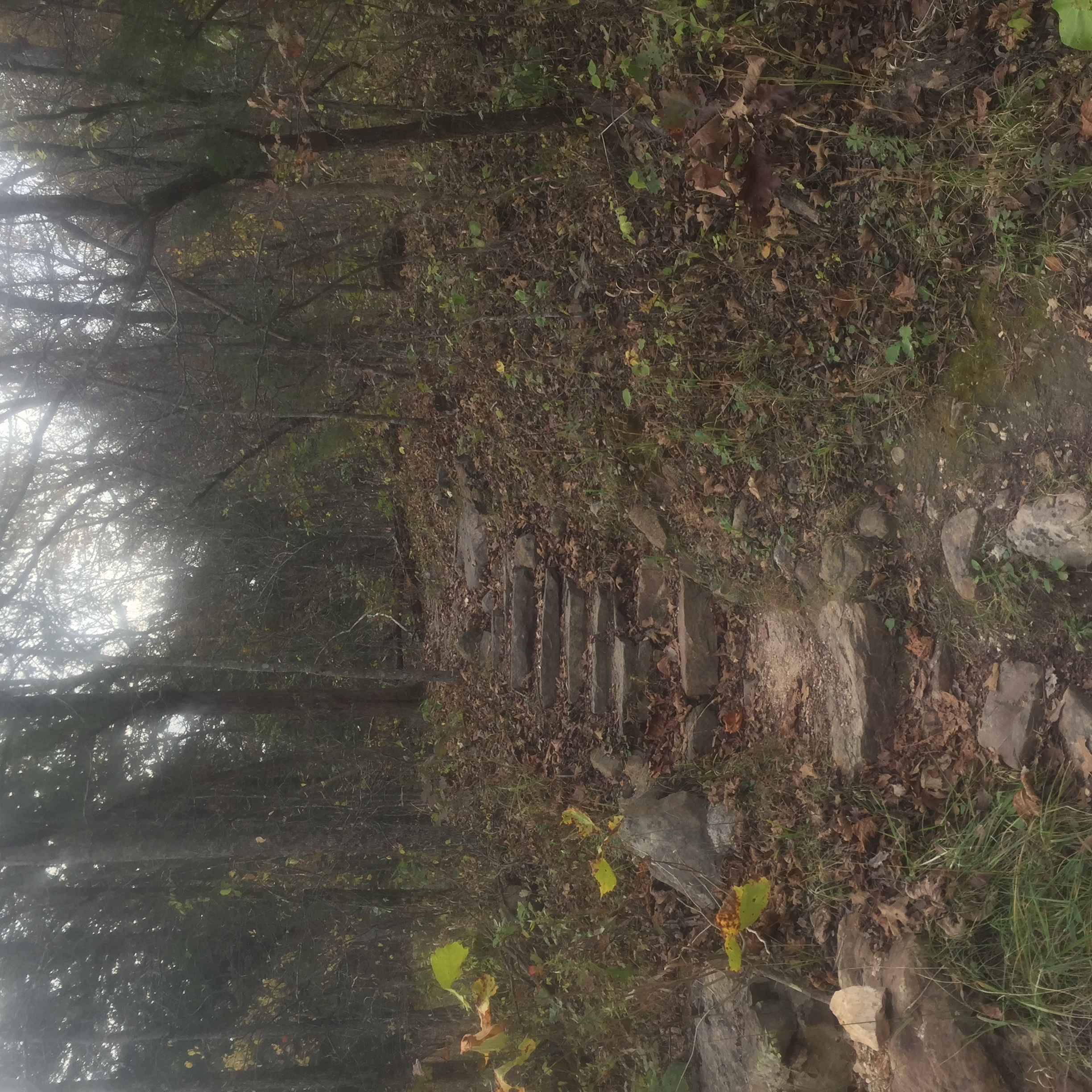 Hike the Boulder Ridge Trail