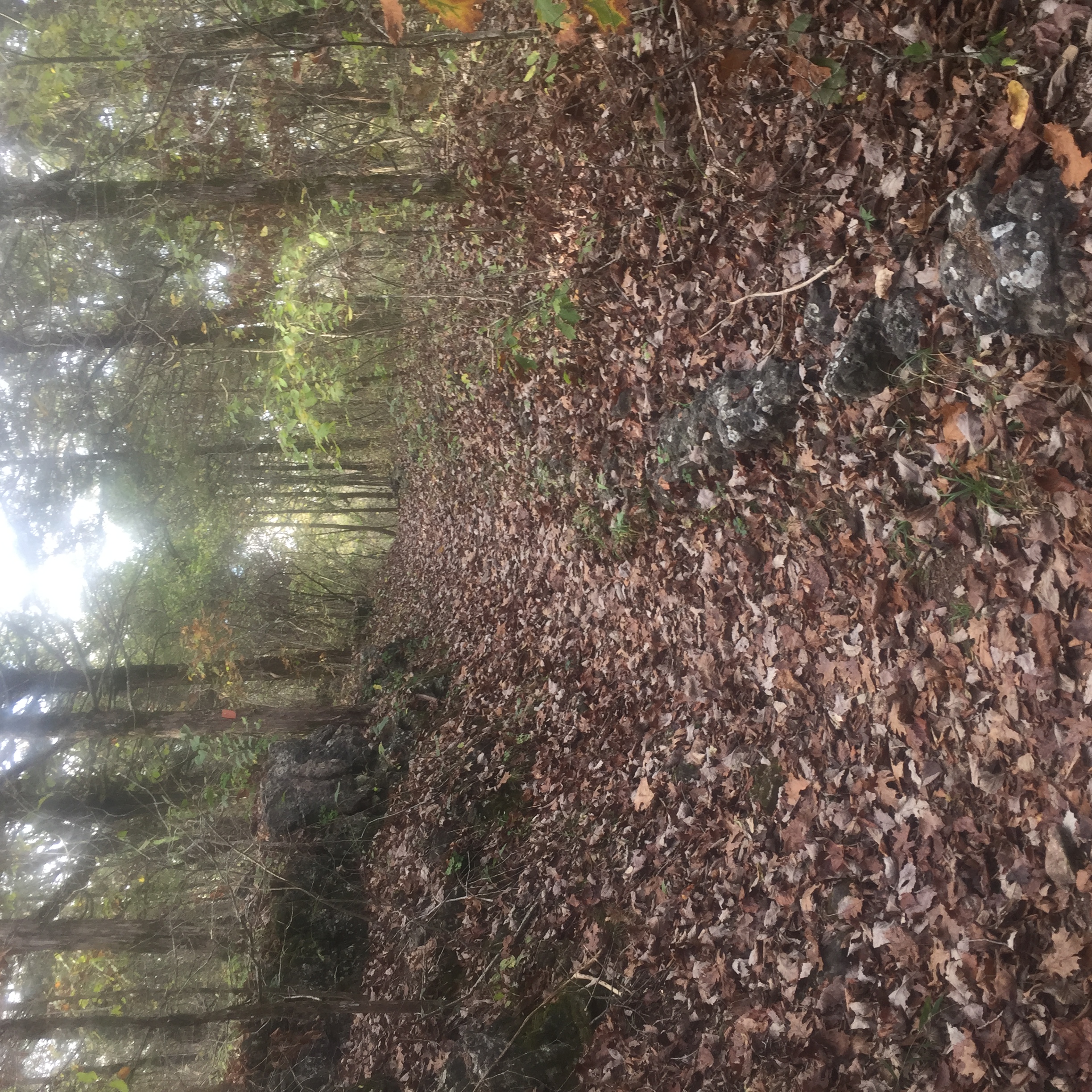 Hike the Boulder Ridge Trail