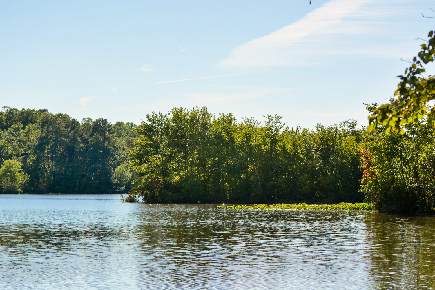 Kayak Killens Pond