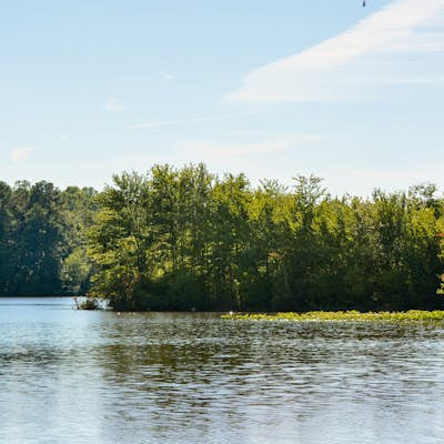 Kayak Killens Pond