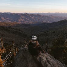 Waterrock Knob Trail