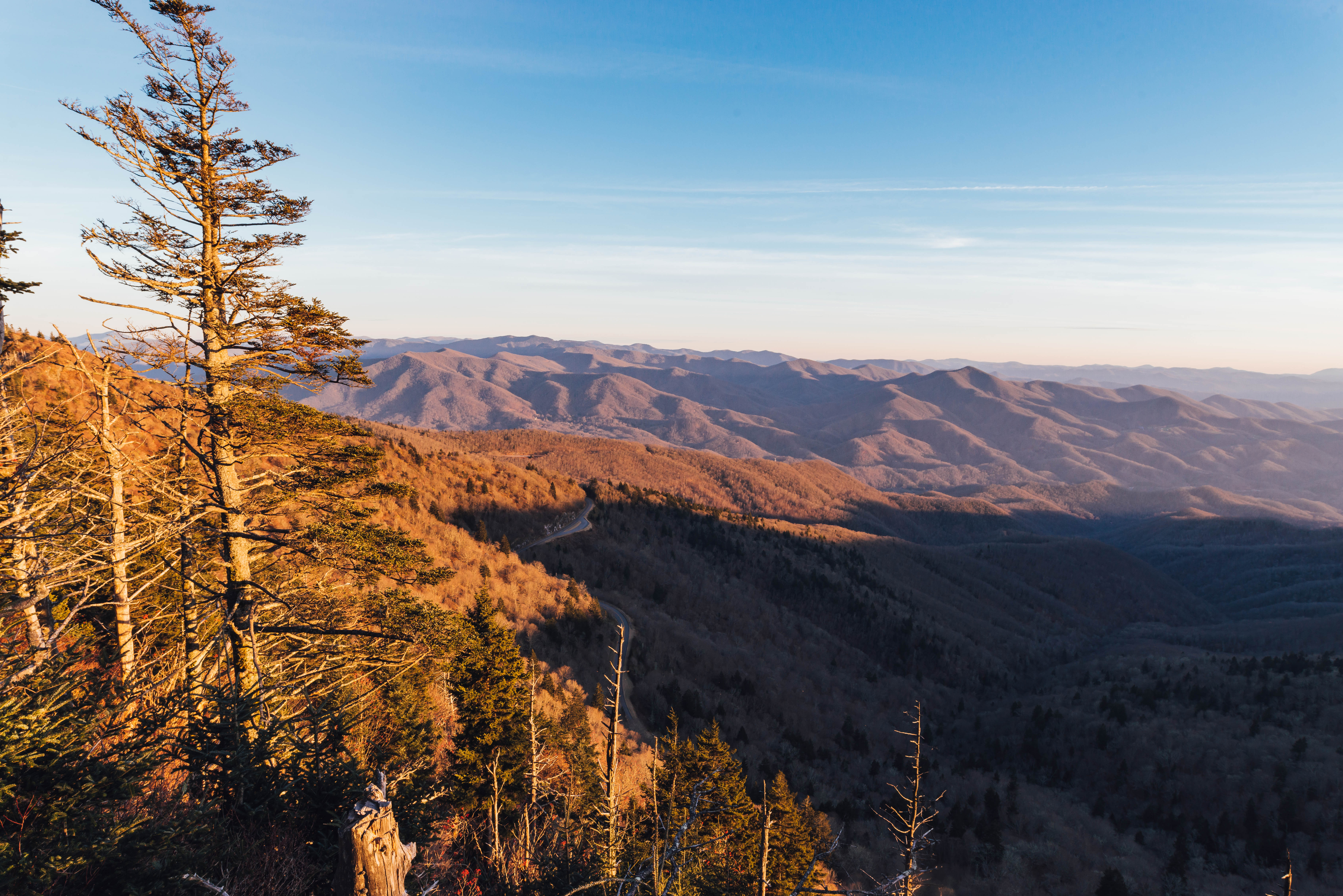 Waterrock Knob Trail