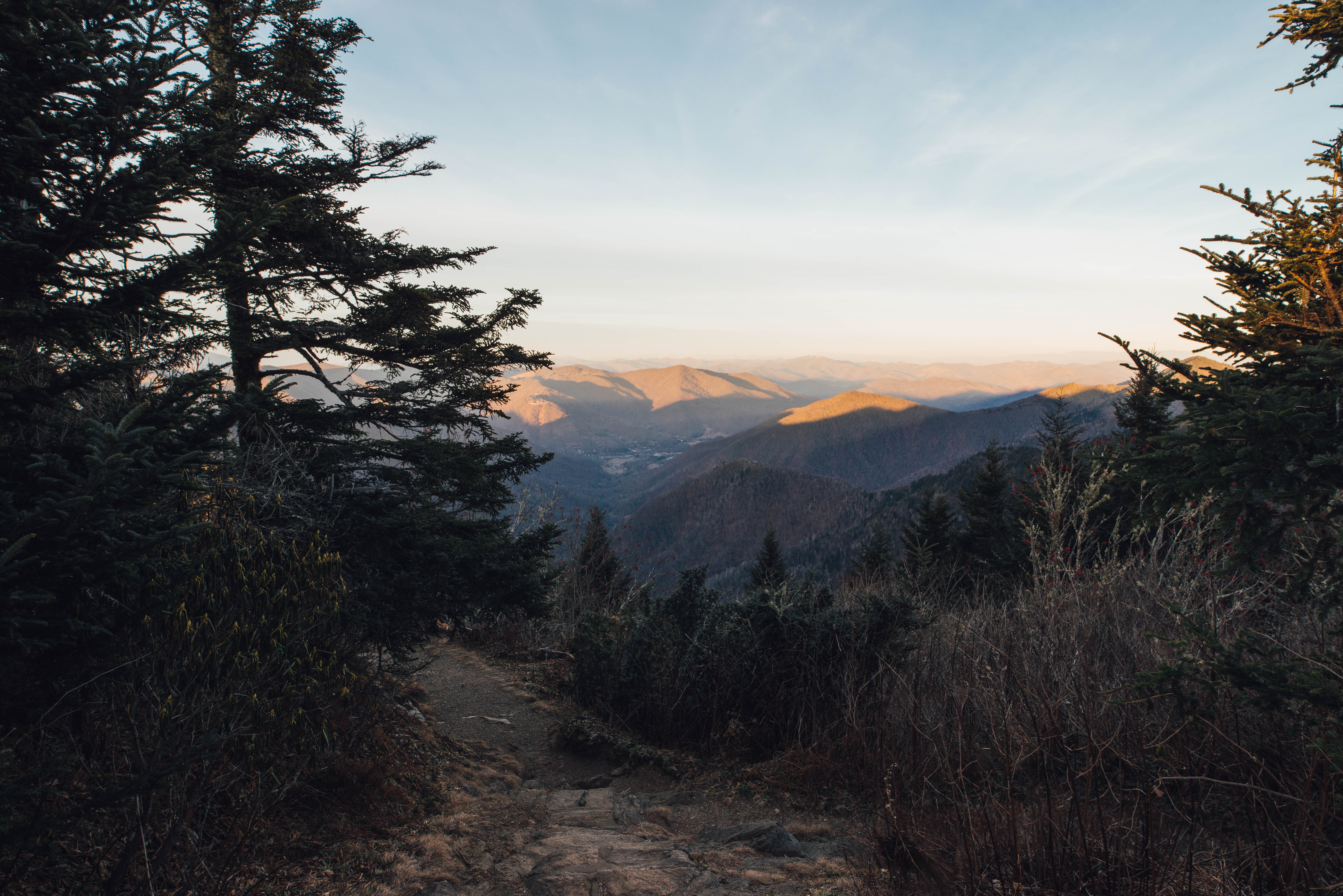 Waterrock Knob Trail