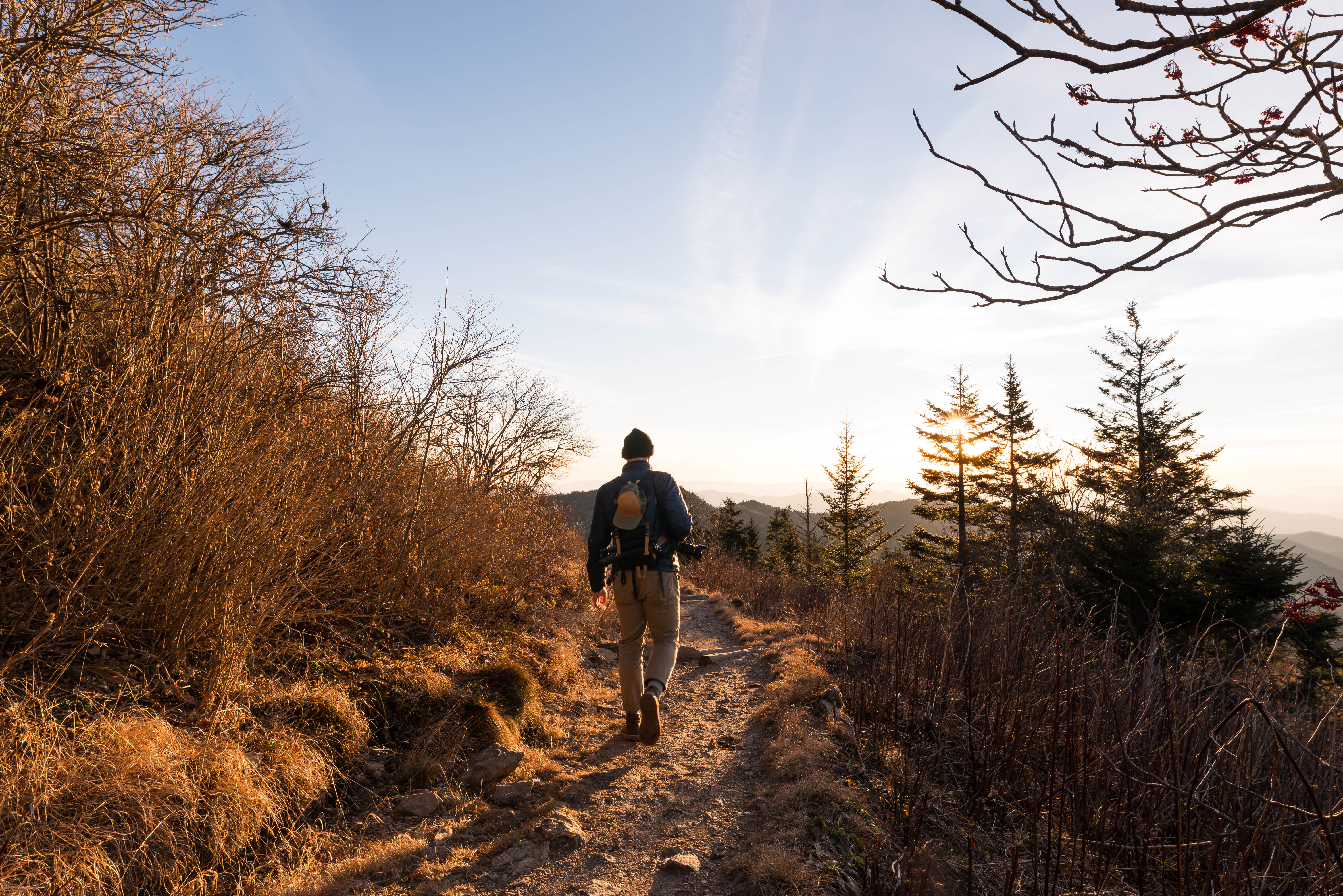 Waterrock Knob Trail
