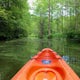 Kayak Trap Pond's Terrapin Branch Water Trail