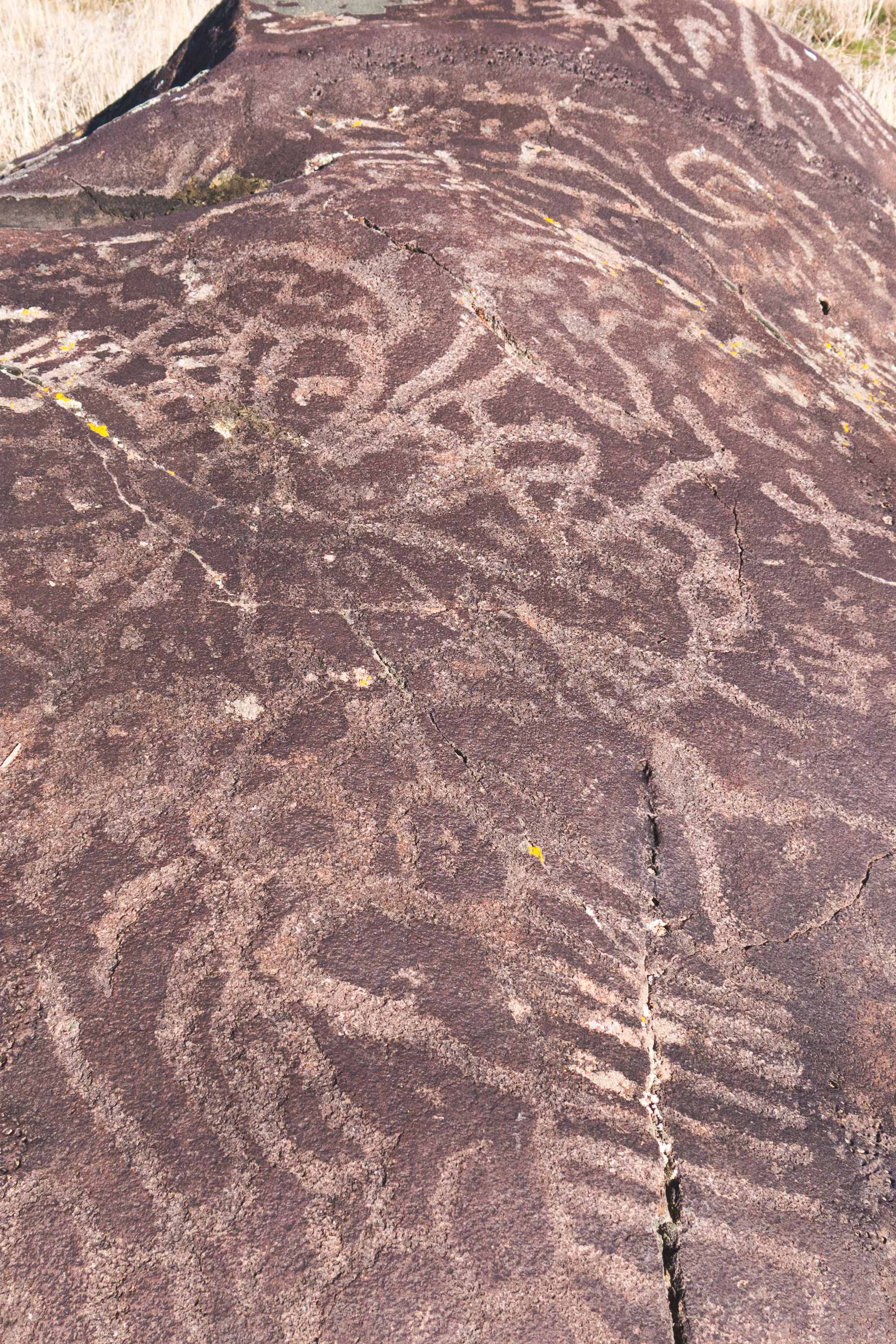 Mountain Bike to the Petroglyphs at Wees Bar