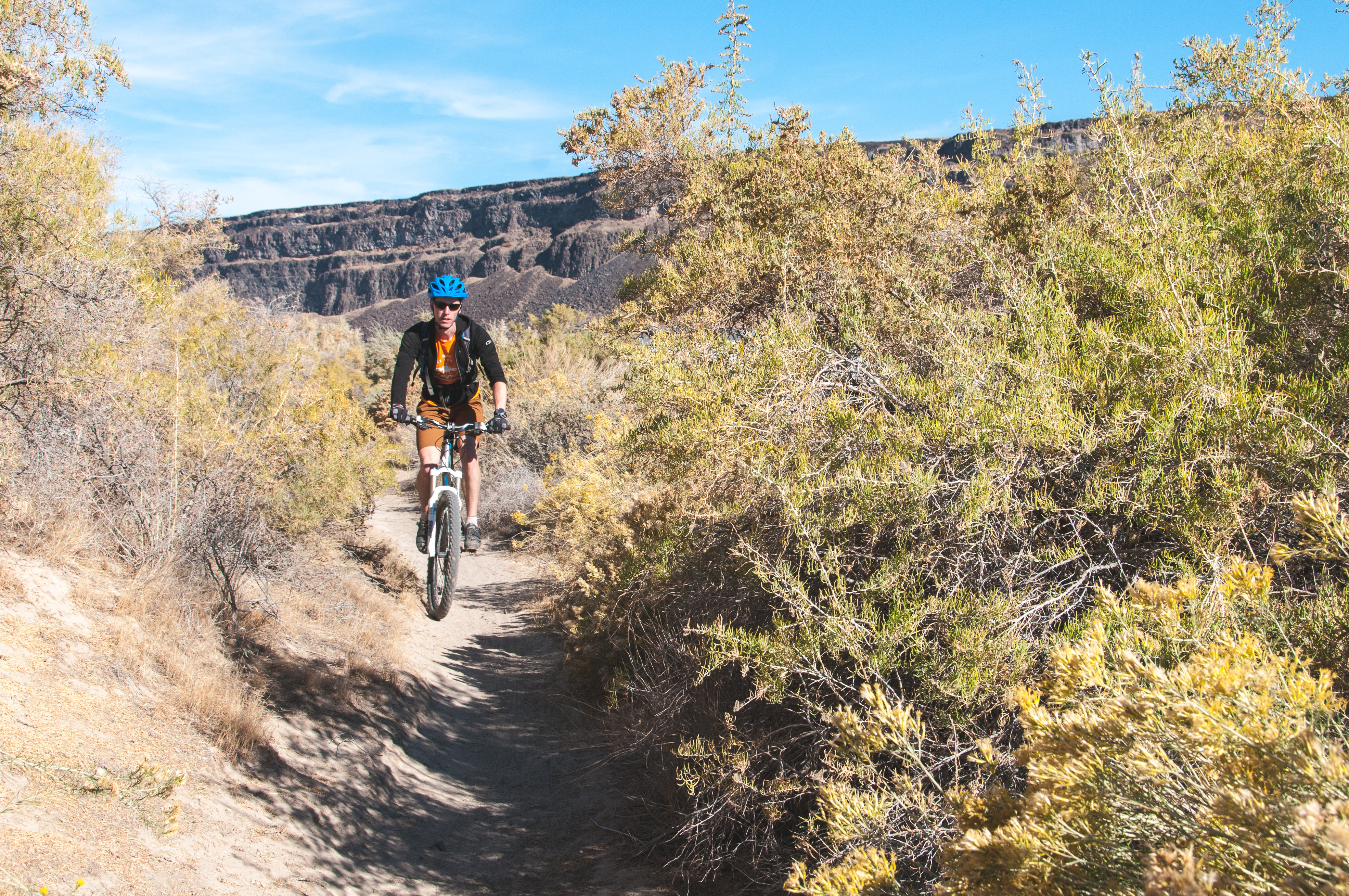Mountain Bike to the Petroglyphs at Wees Bar