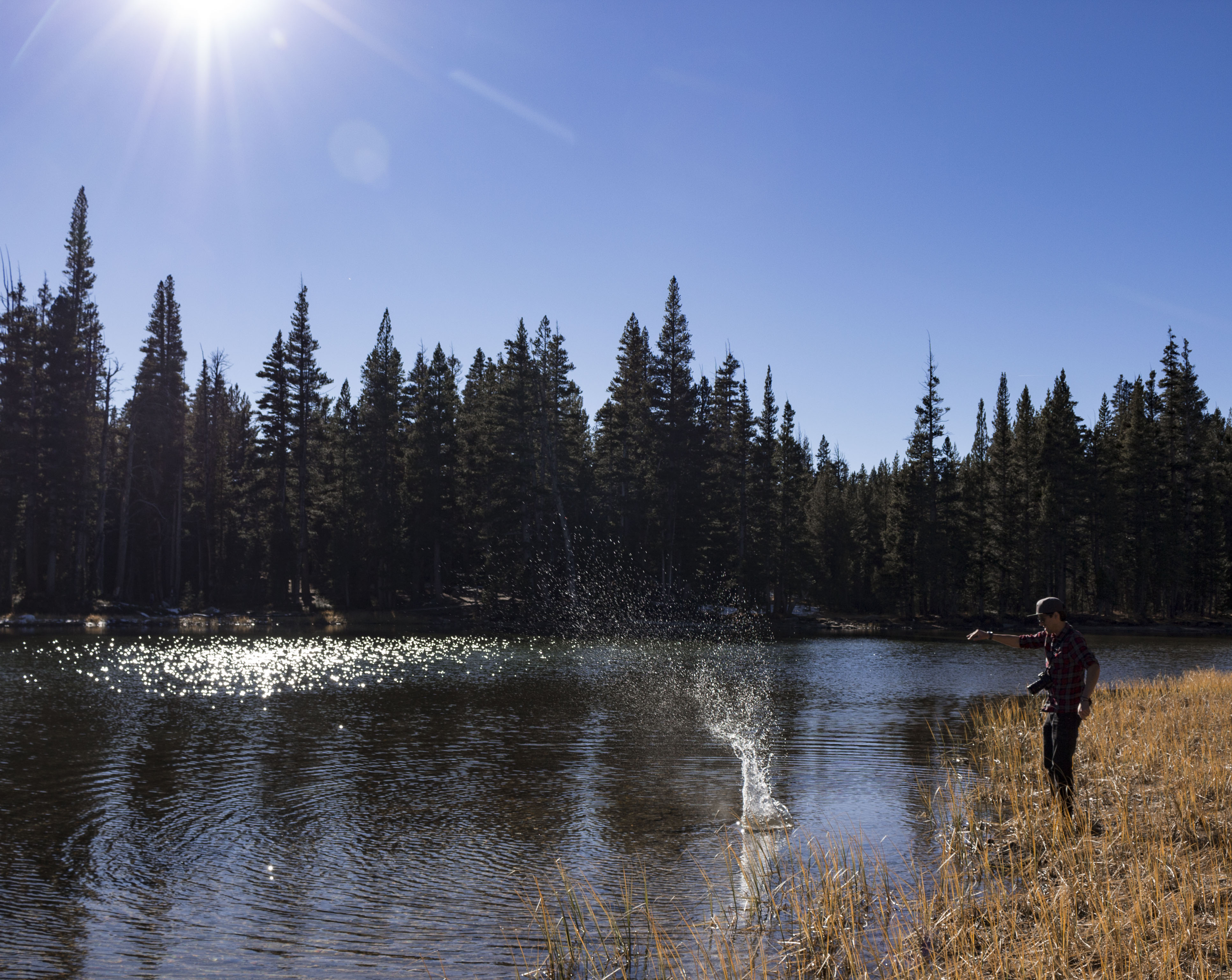 Dog Lake Loop