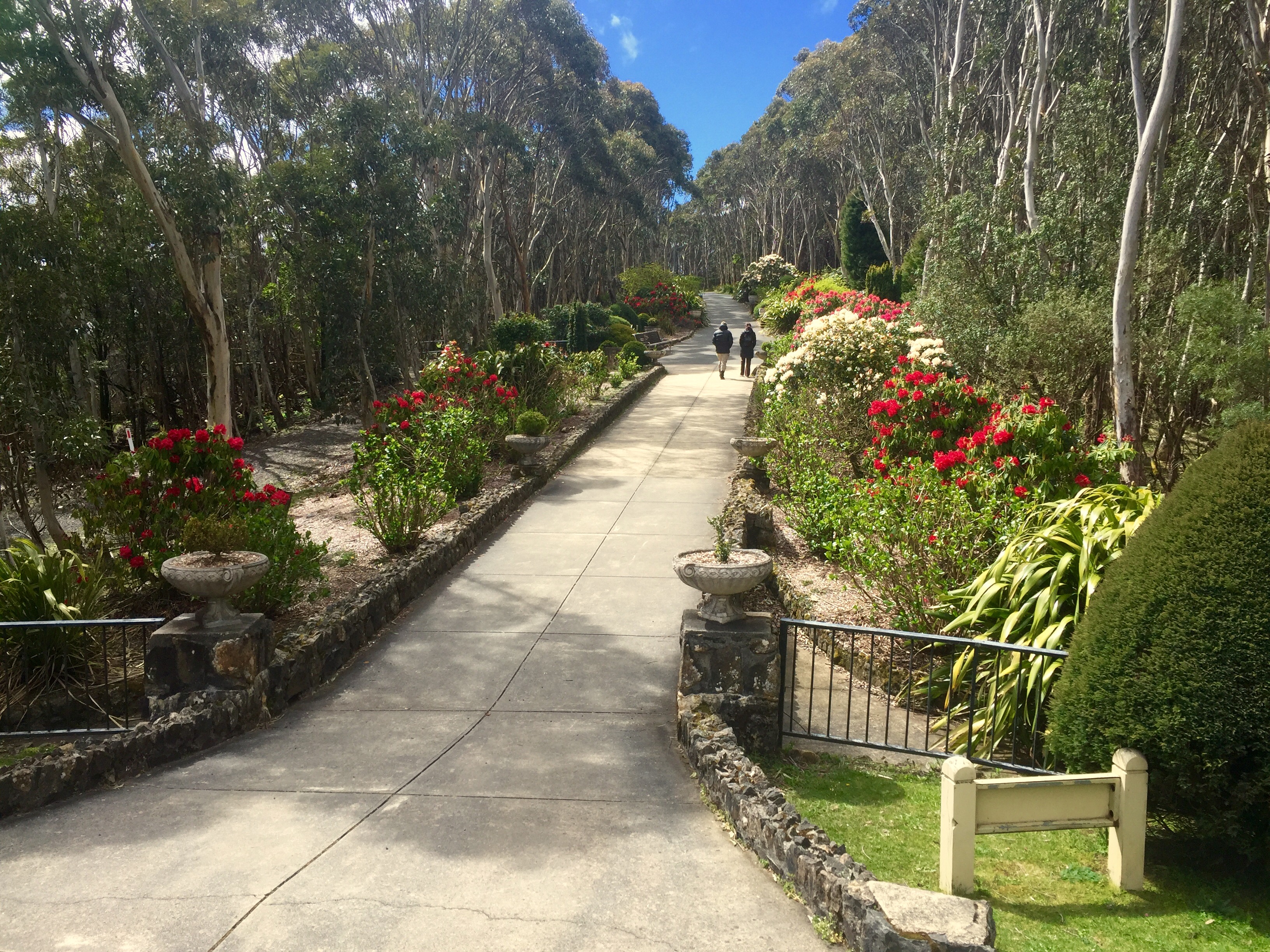 Hike the Macedon Ranges Walking Track