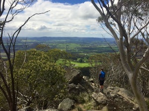 Hike the Macedon Ranges Walking Track