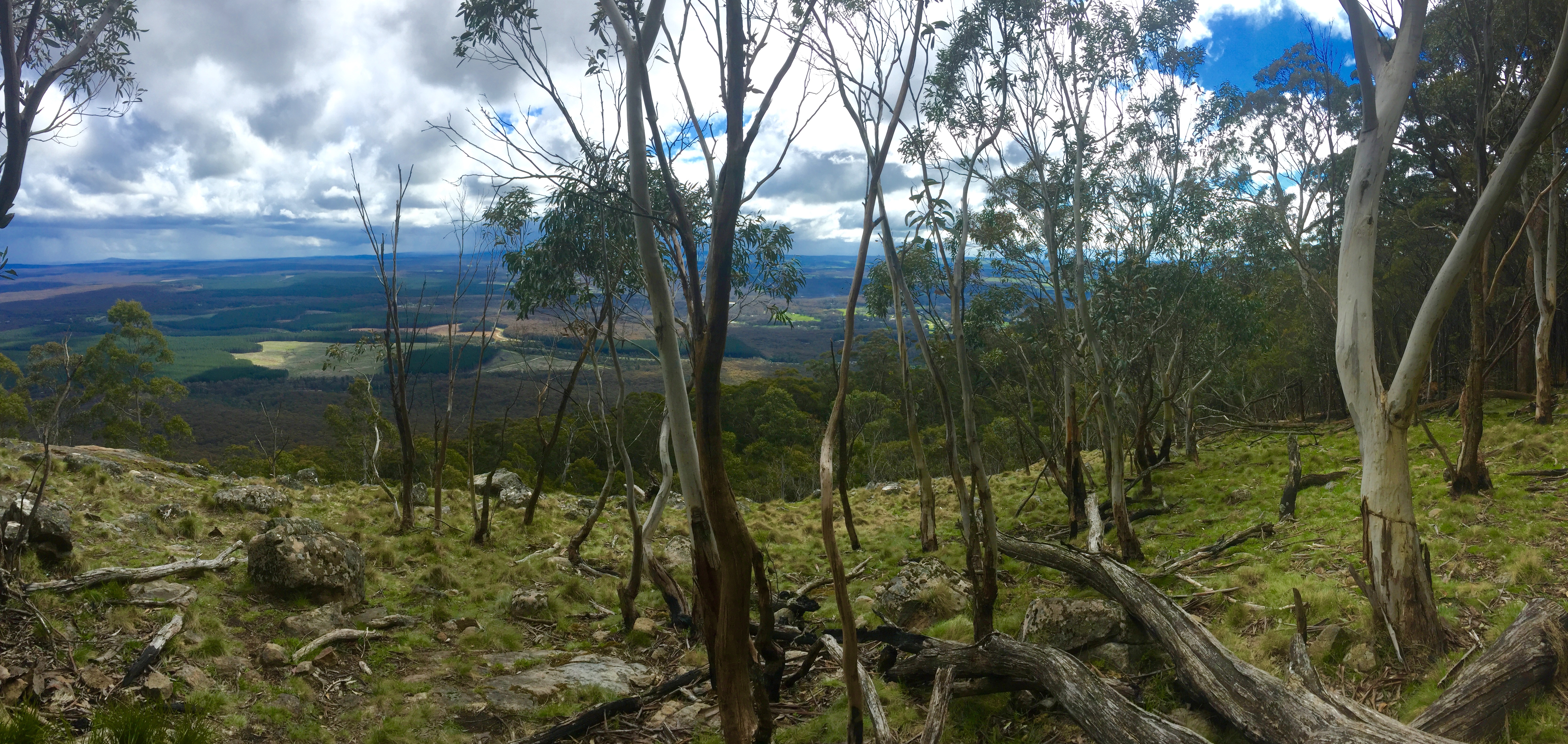 Hike the Macedon Ranges Walking Track