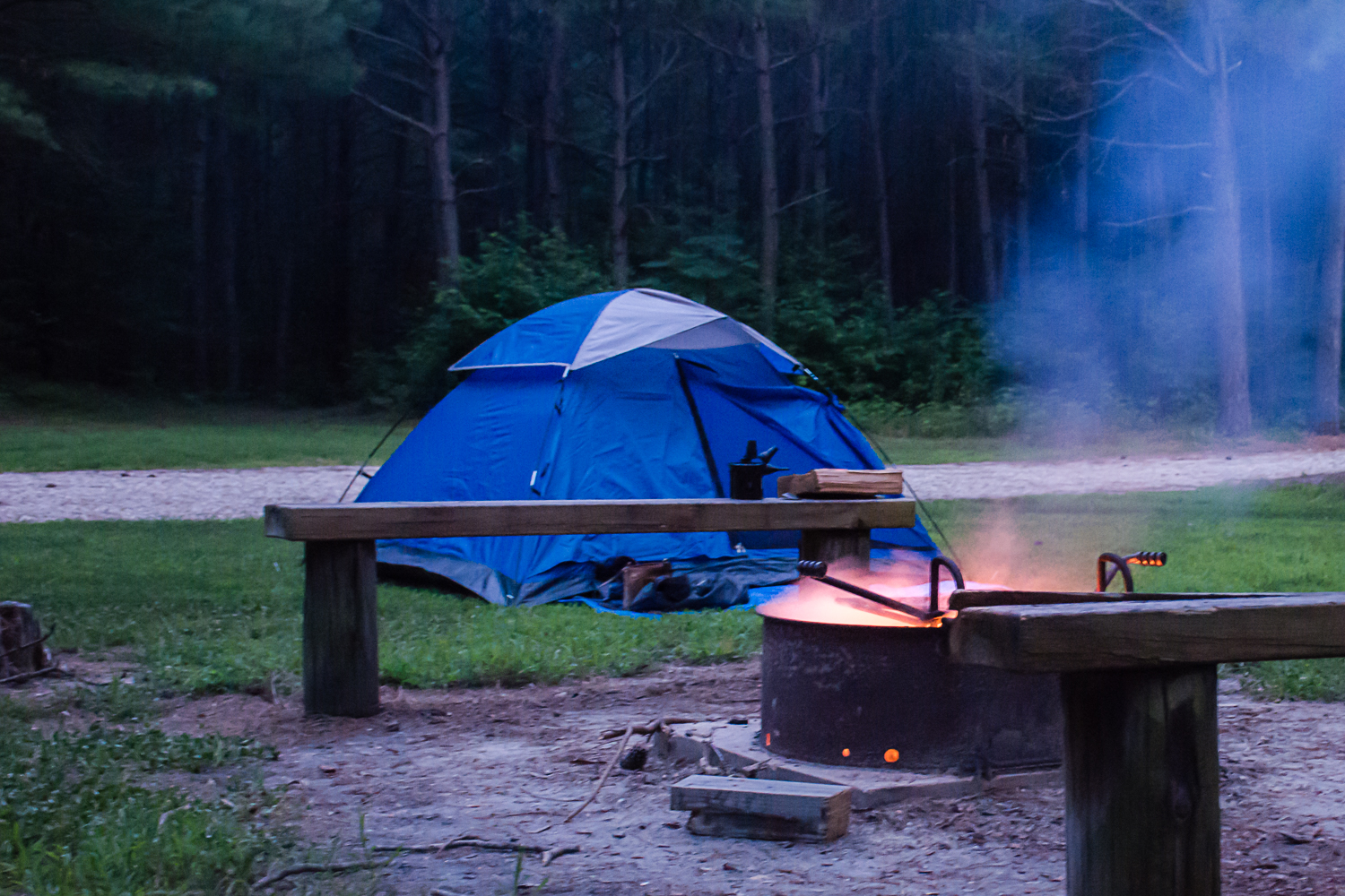 Camp at Redden State Forest