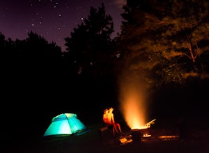 Camp at Redden State Forest