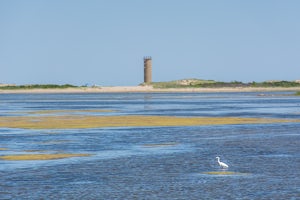 Gordons Pond Trail, Cape Henlopen SP