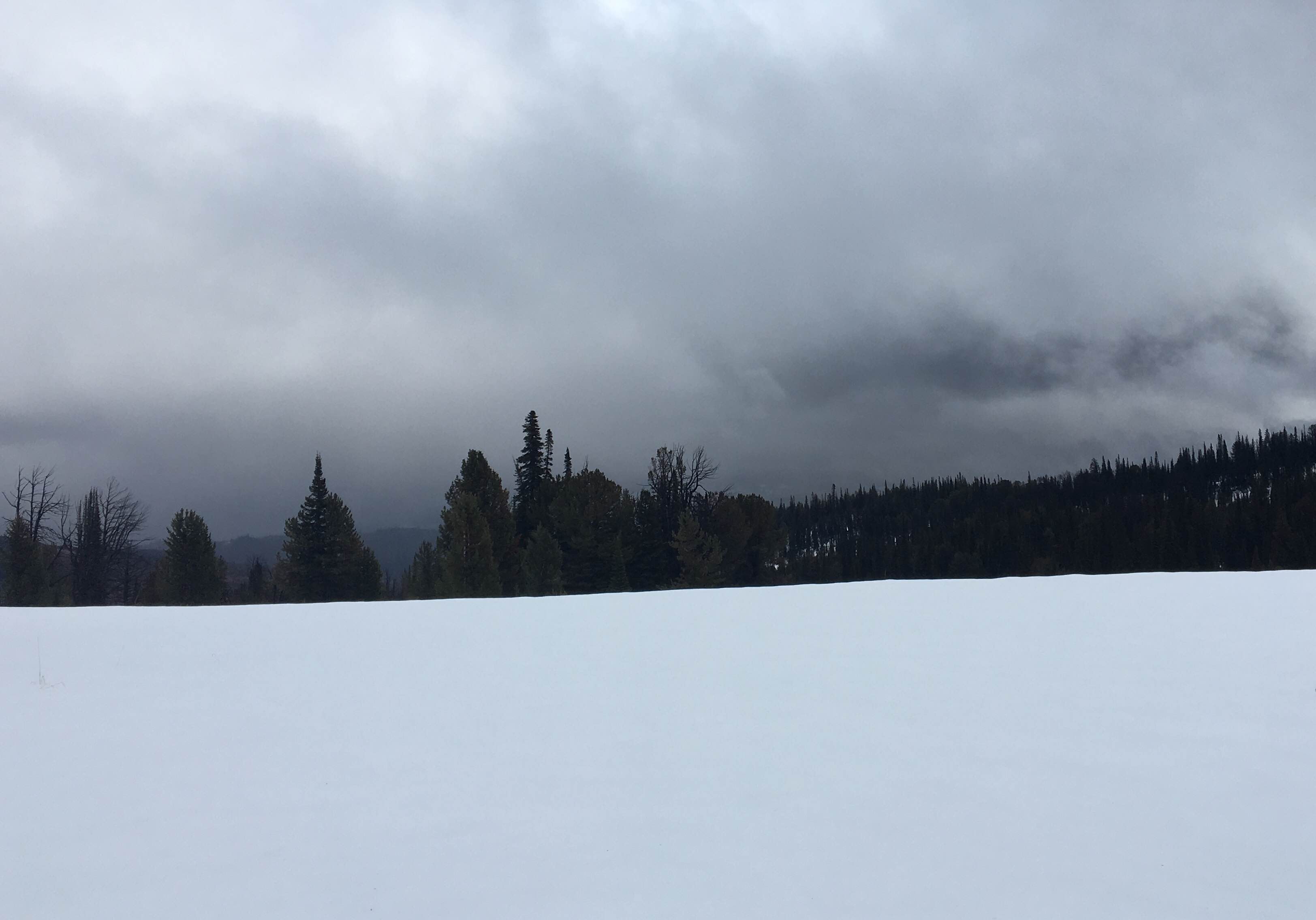 Huckleberry Mountain via Sheffield Creek Trail