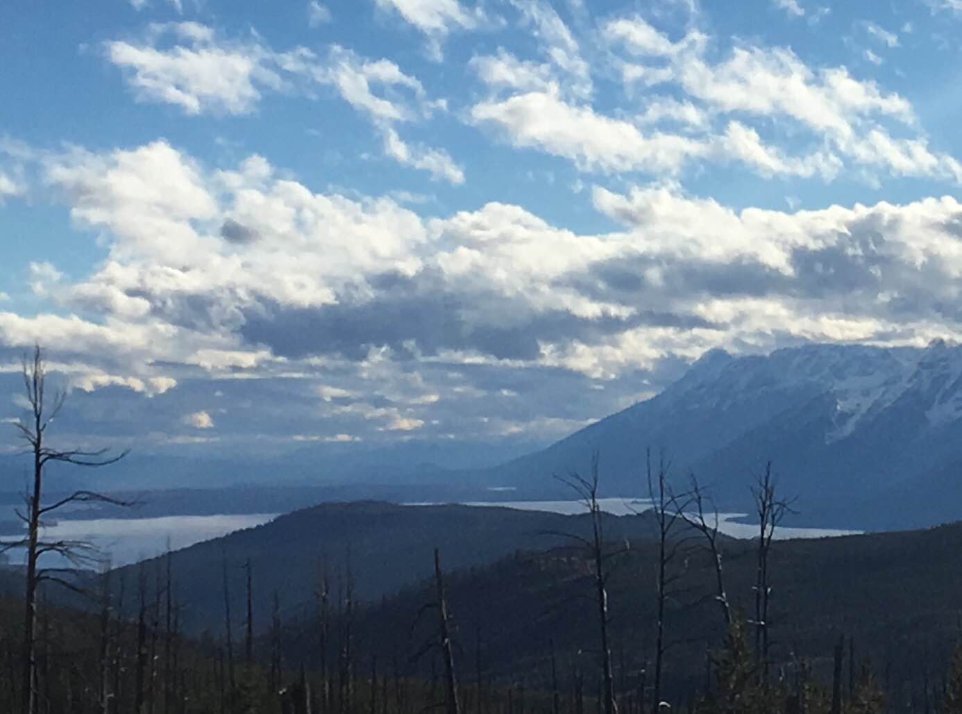 Huckleberry Mountain via Sheffield Creek Trail