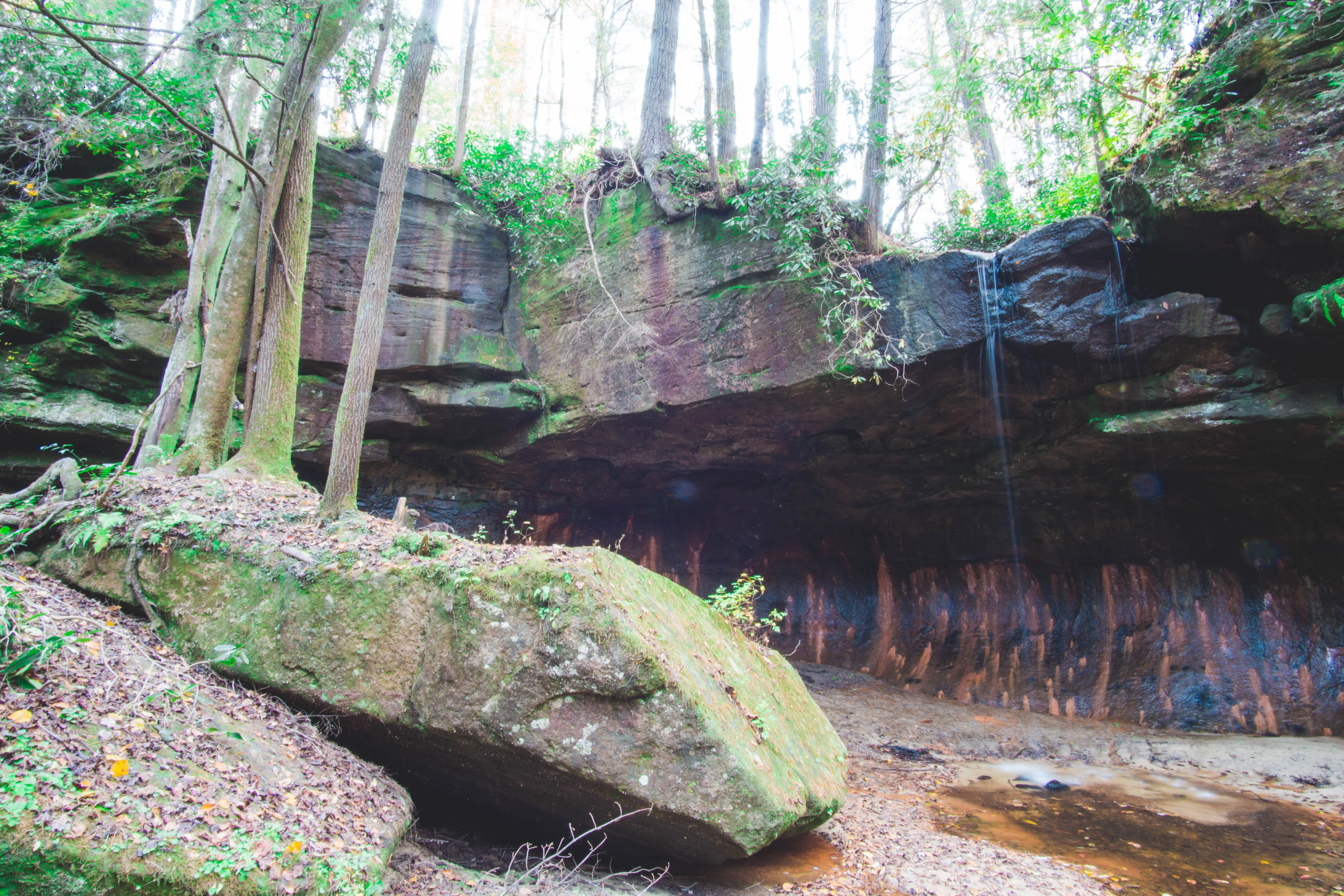 Hike Rock Bridge Loop to Pooch Turtle Falls and Turtle Back Arch ...