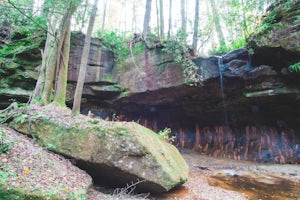 Hike Rock Bridge Loop to Pooch Turtle Falls and Turtle Back Arch