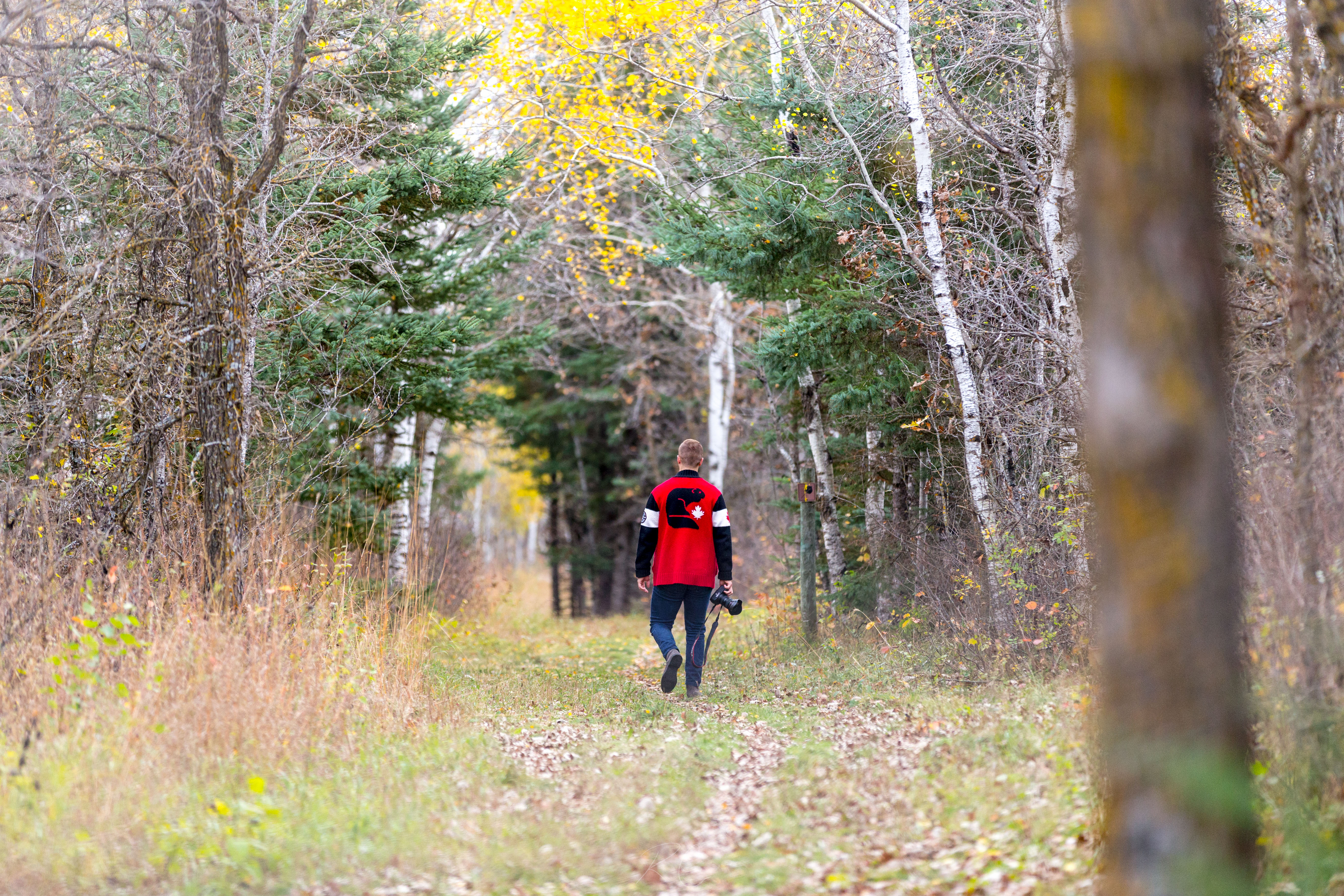 Explore Birds Hill Park