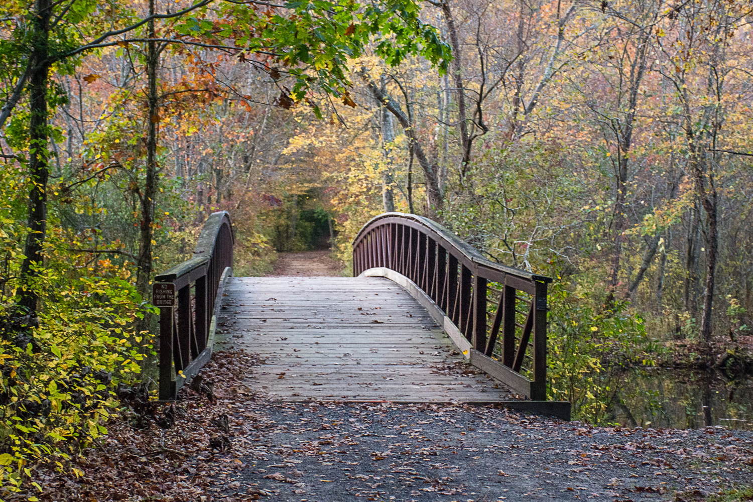 Hike the Pondside Trail, Killens Pond SP