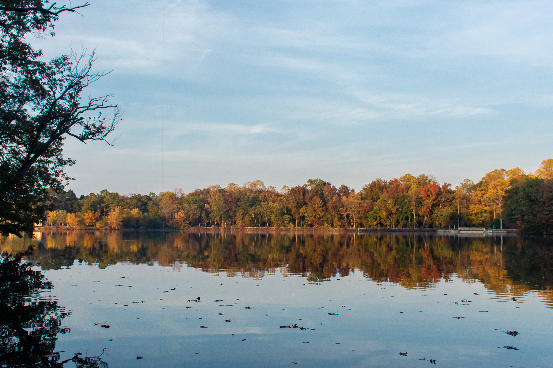 Hike the Pondside Trail, Killens Pond SP