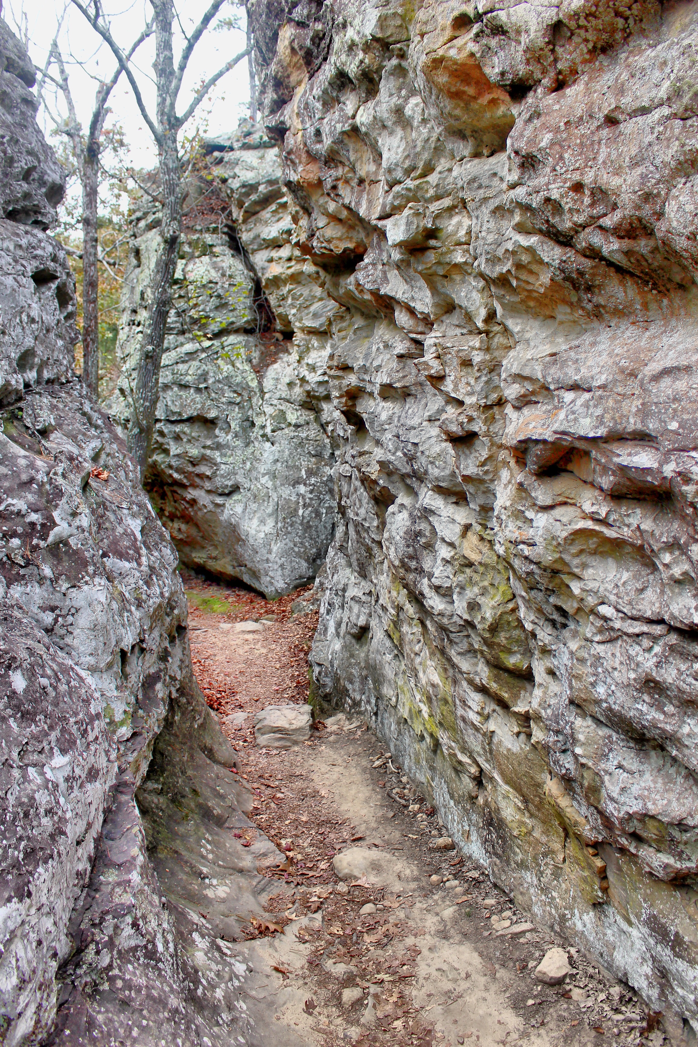 Camp at Petit Jean SP