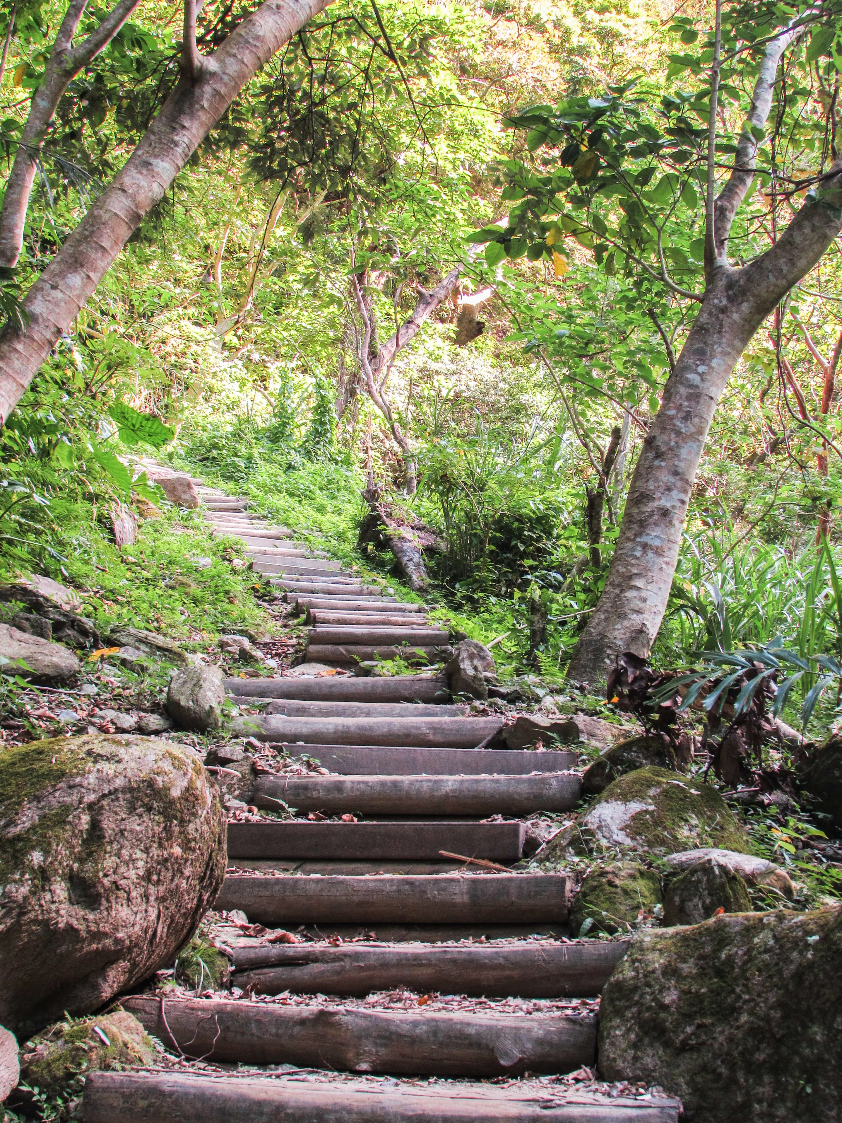 Hike the Zhuilu Old Trail, Taiwan
