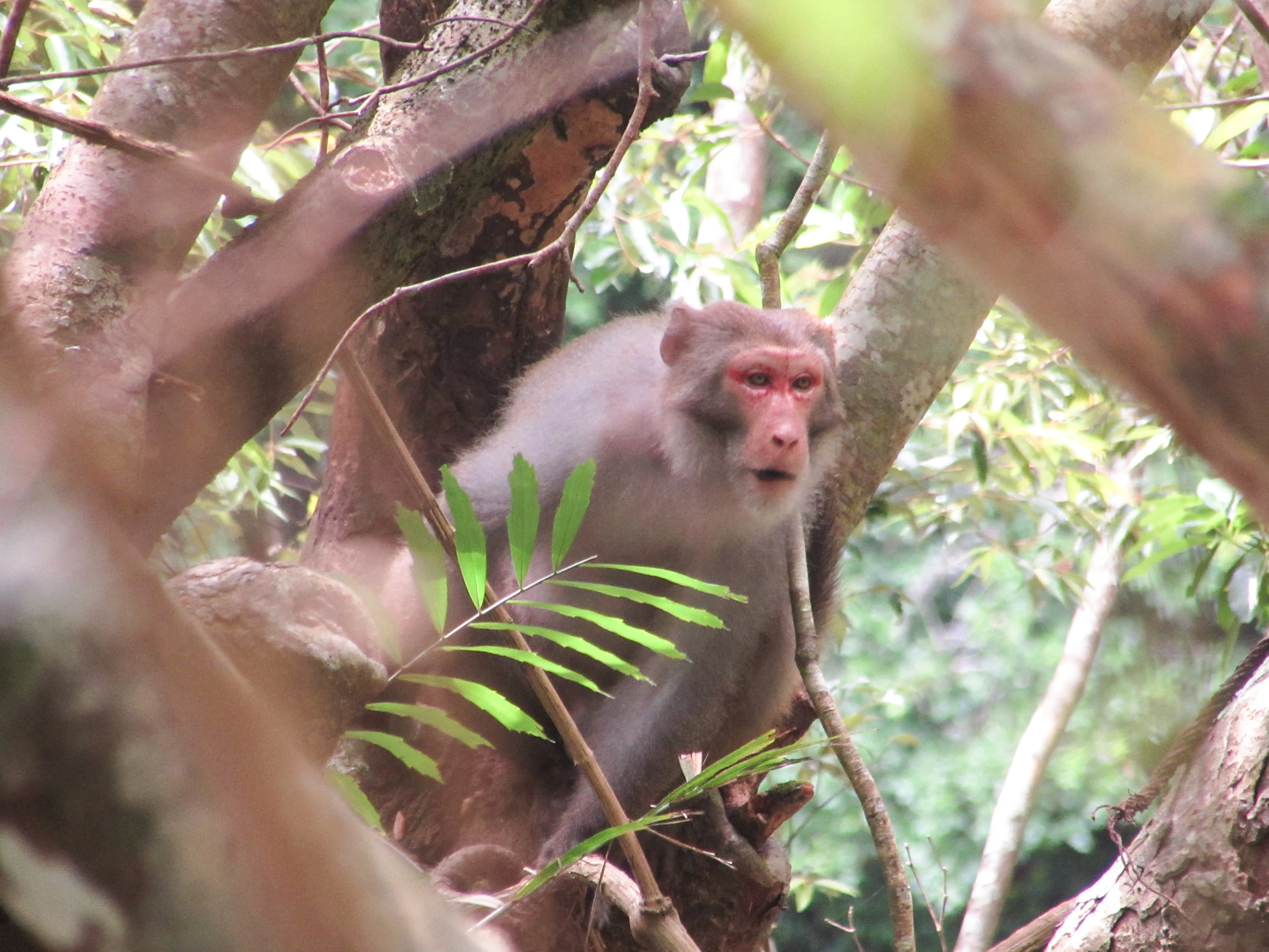 Hike the Zhuilu Old Trail, Taiwan