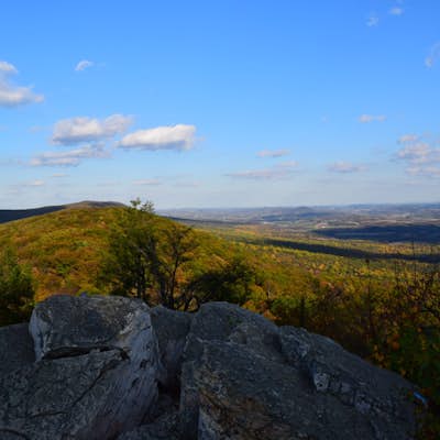Photograph Pennsylvania's Vibrant Autumn Colors at Hawk Mountain