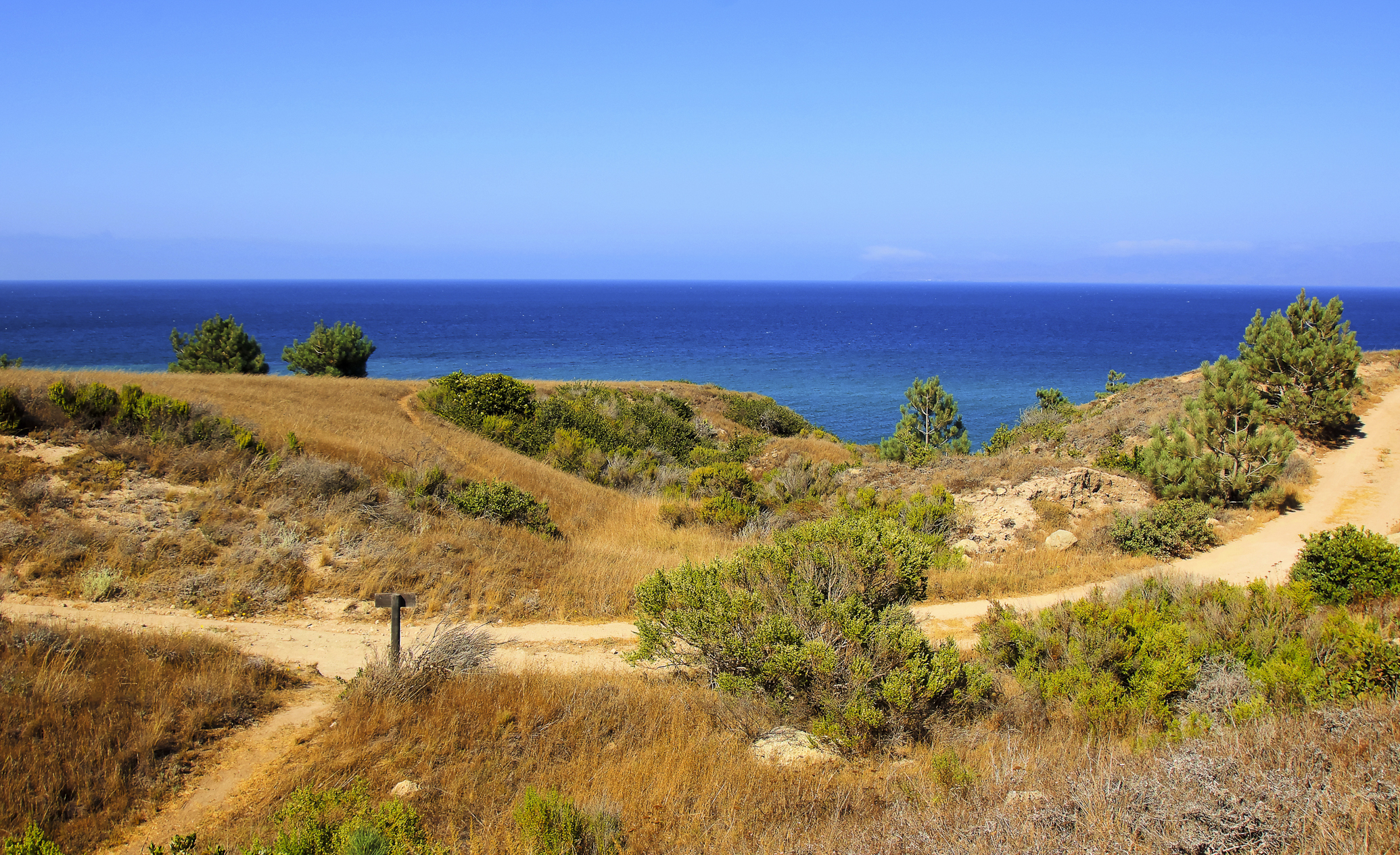 Torrey Pines Trail