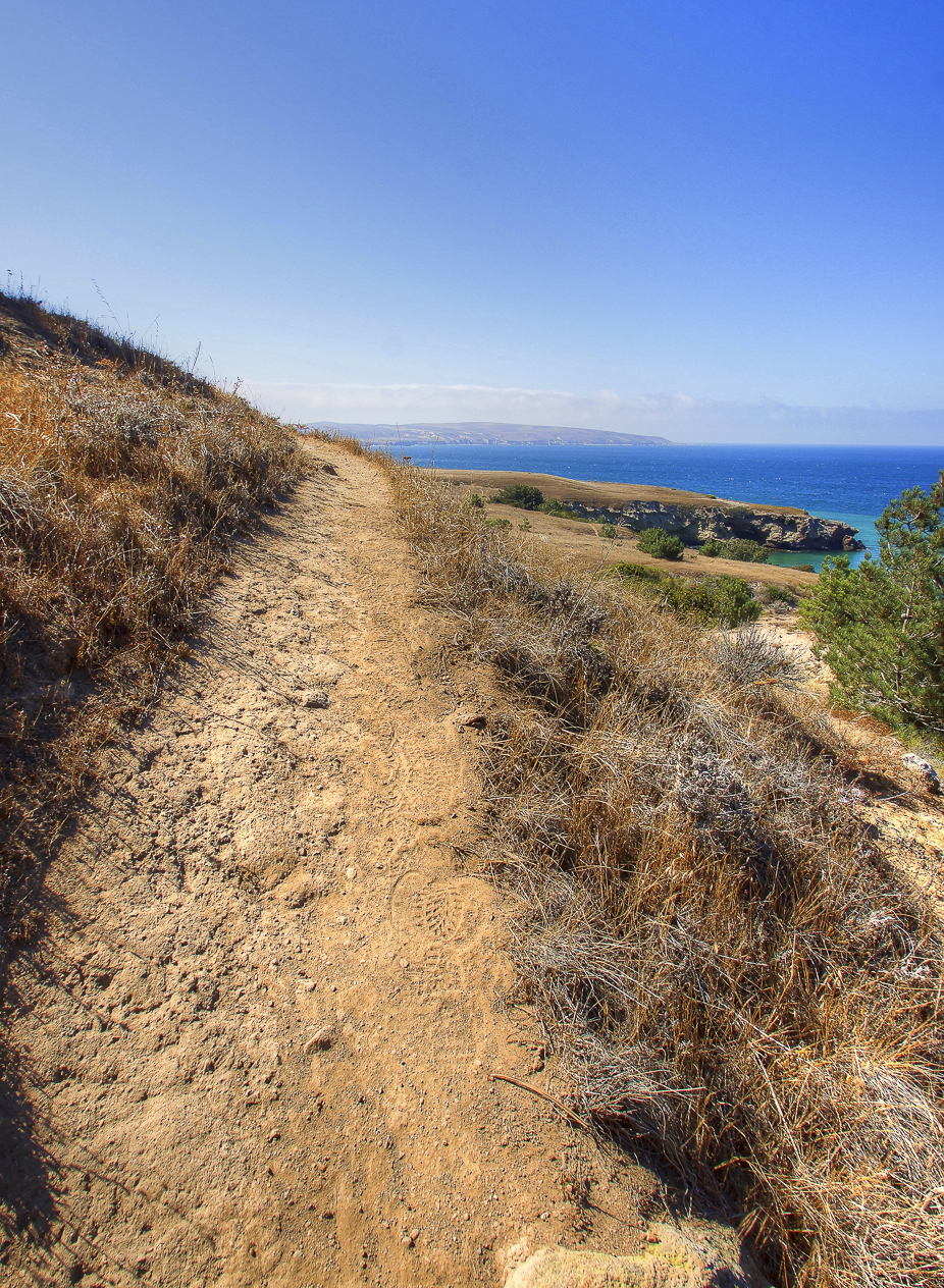 Torrey Pines Trail