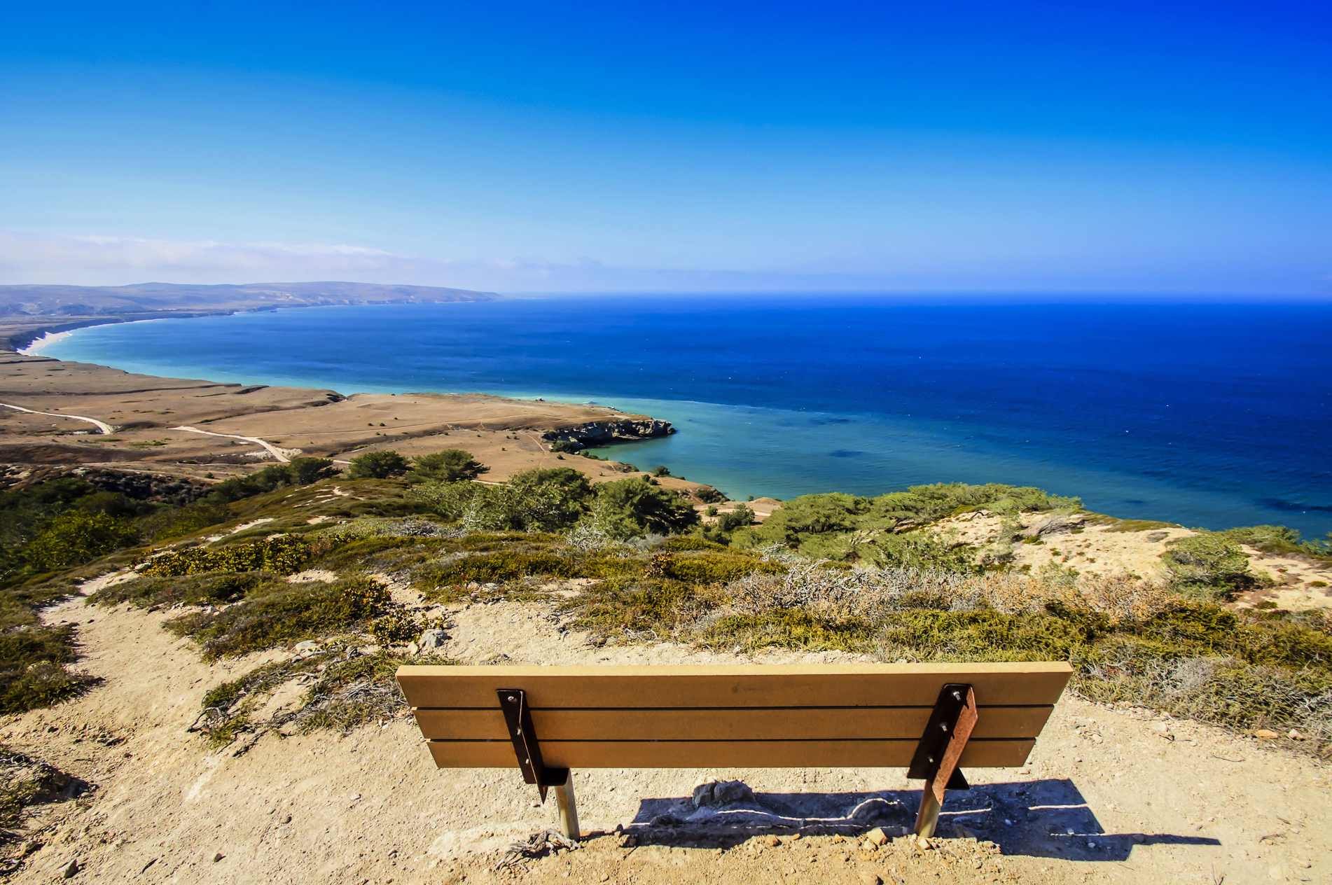 Torrey Pines Trail