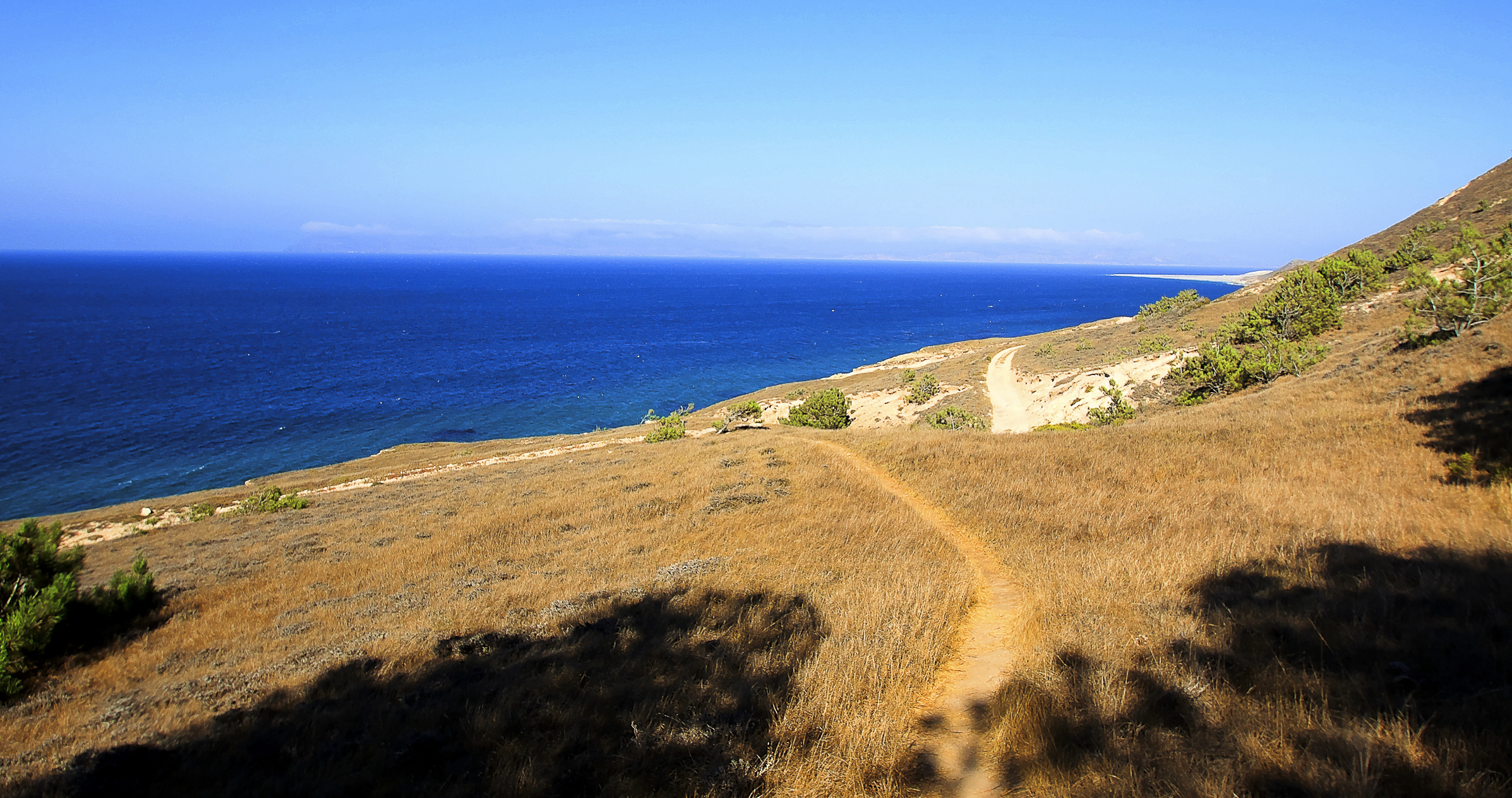 Torrey Pines Trail