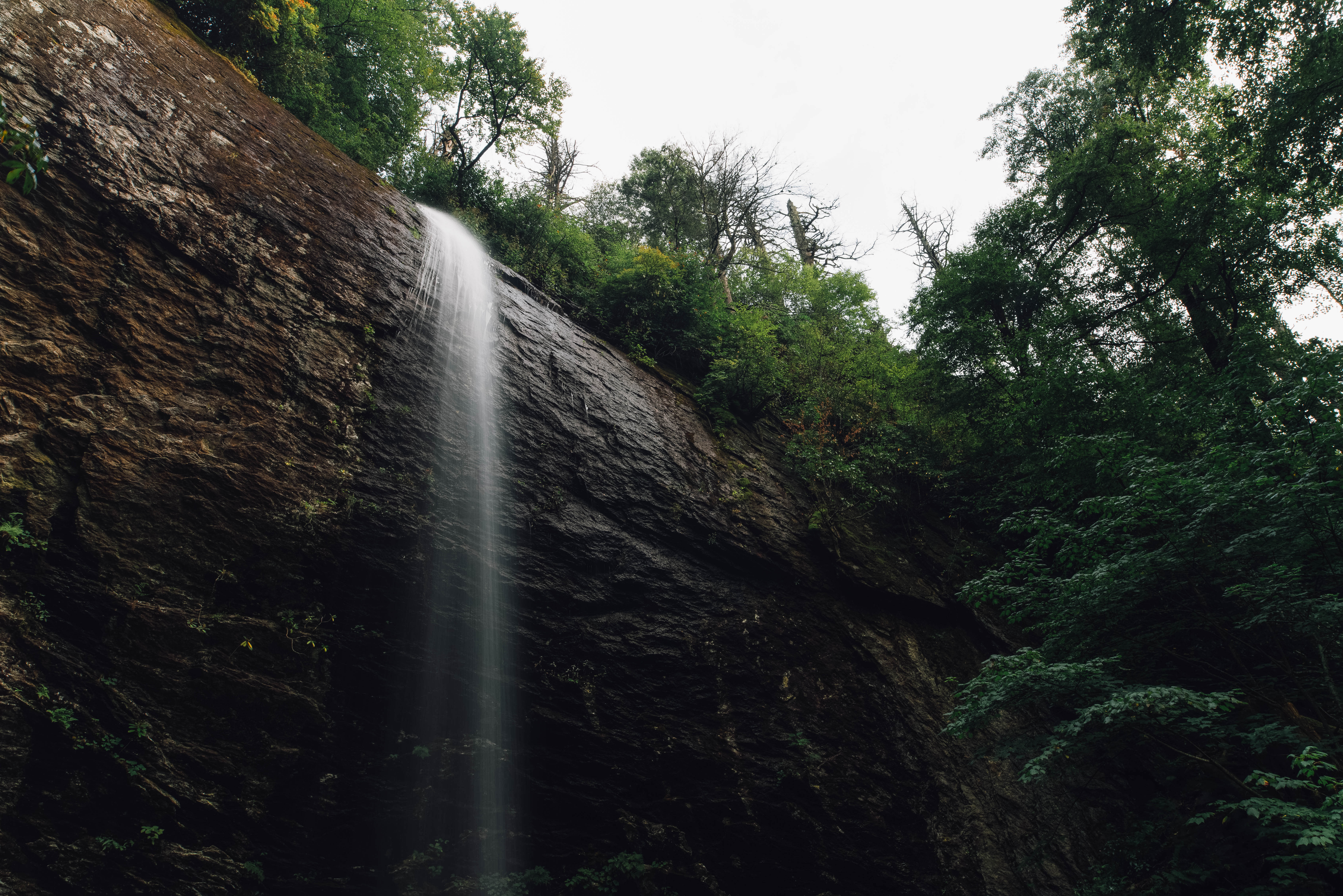 Douglas Falls