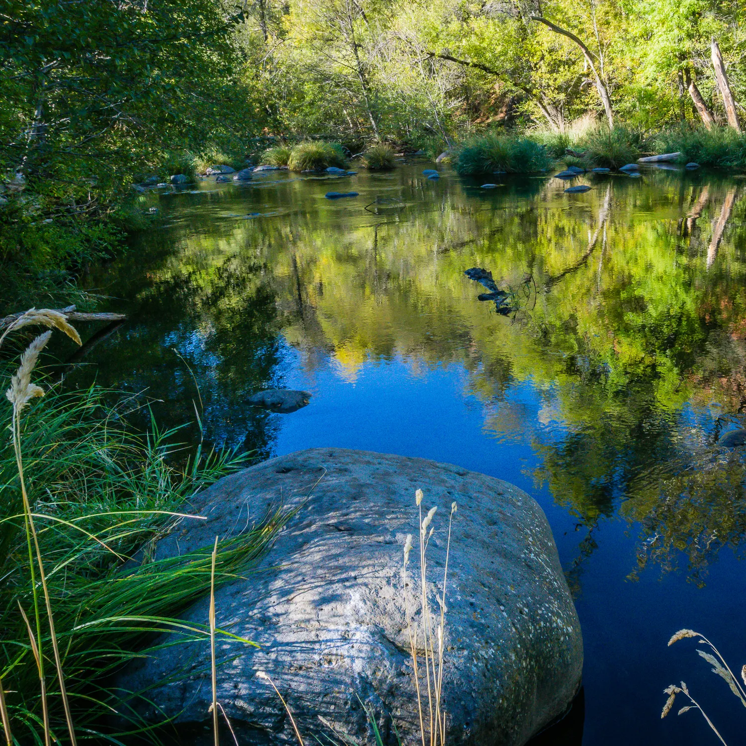 Fly Fish Oak Creek