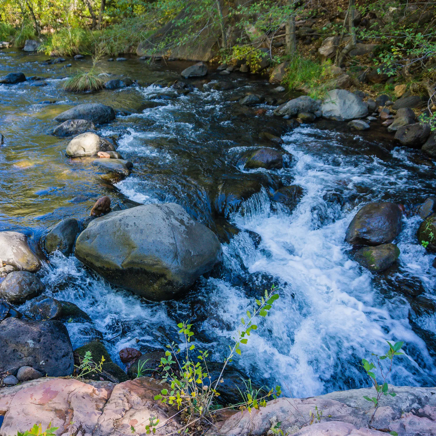 Fly Fish Oak Creek