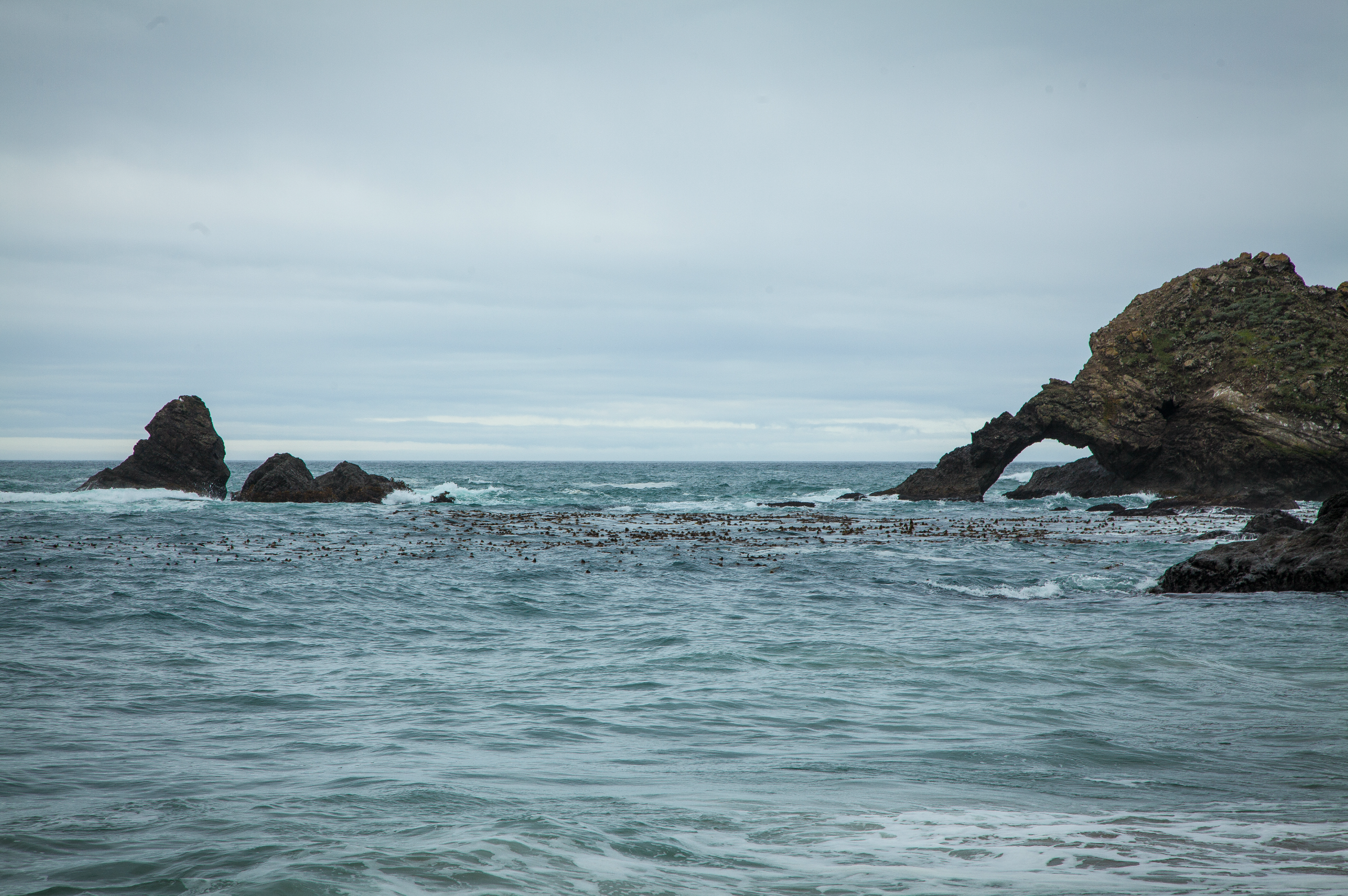 Navarro Beach