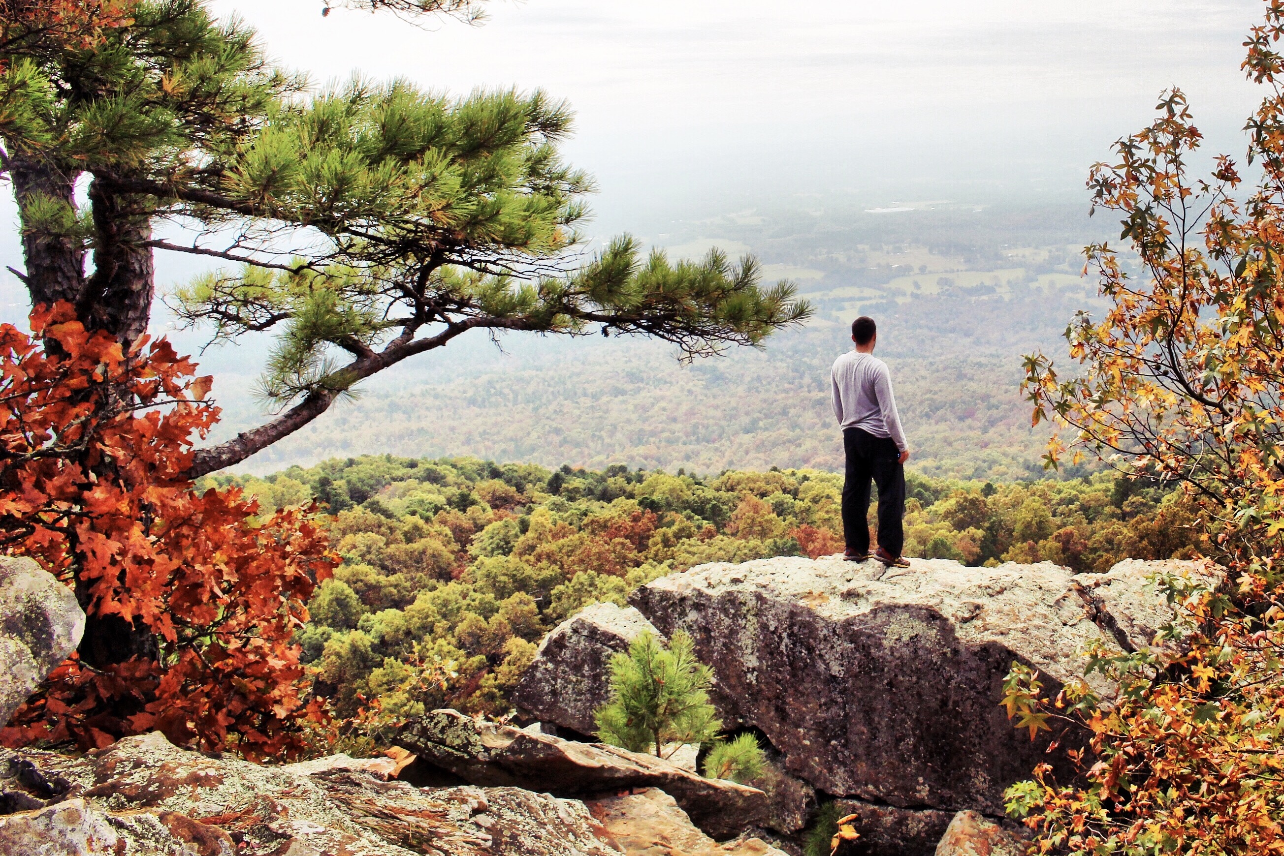Hike the Rim Trail at Mount Nebo SP