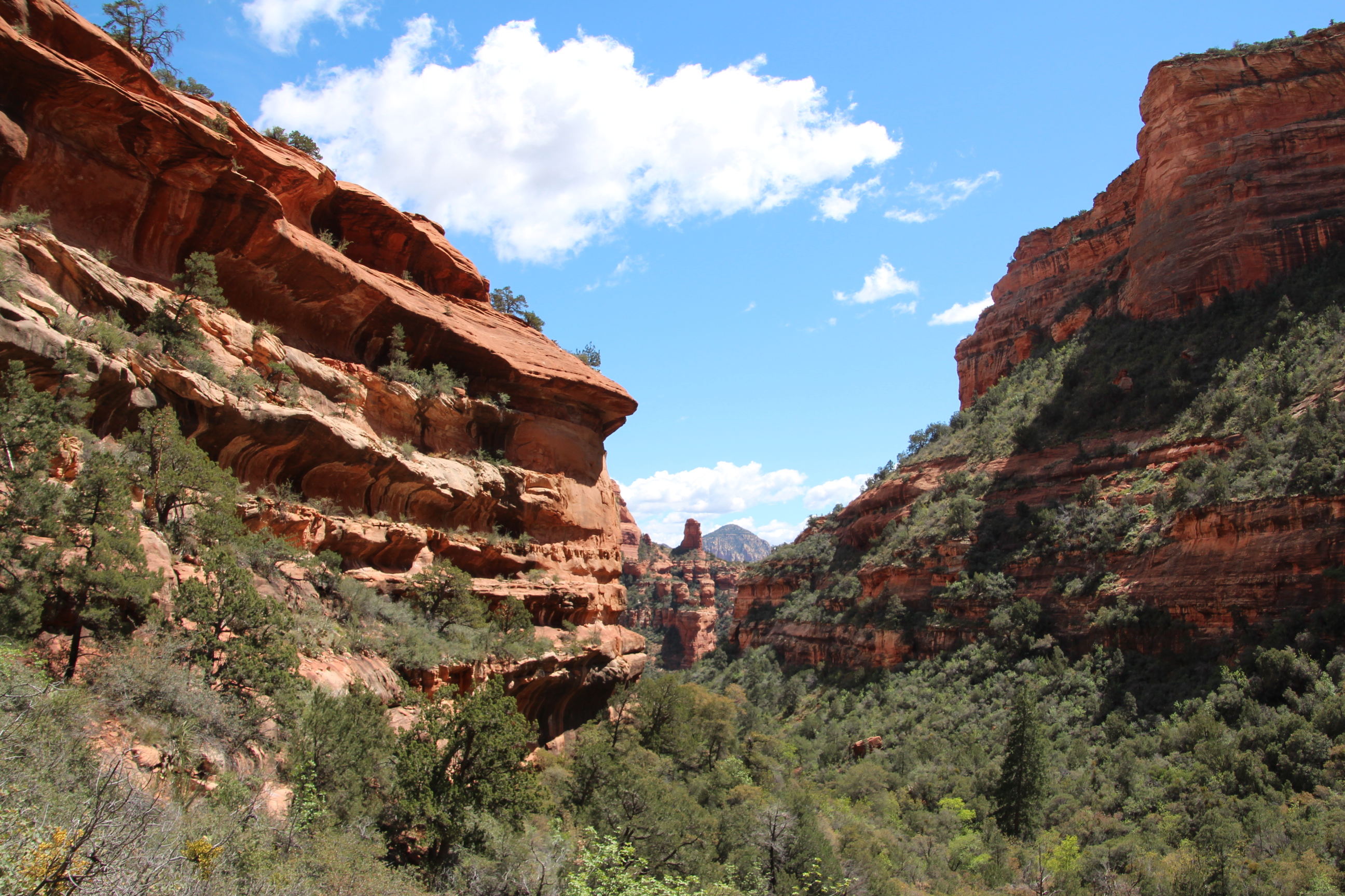 Boynton Canyon Trail