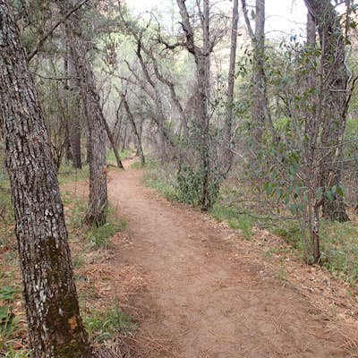 Hike the Boynton Canyon Trail
