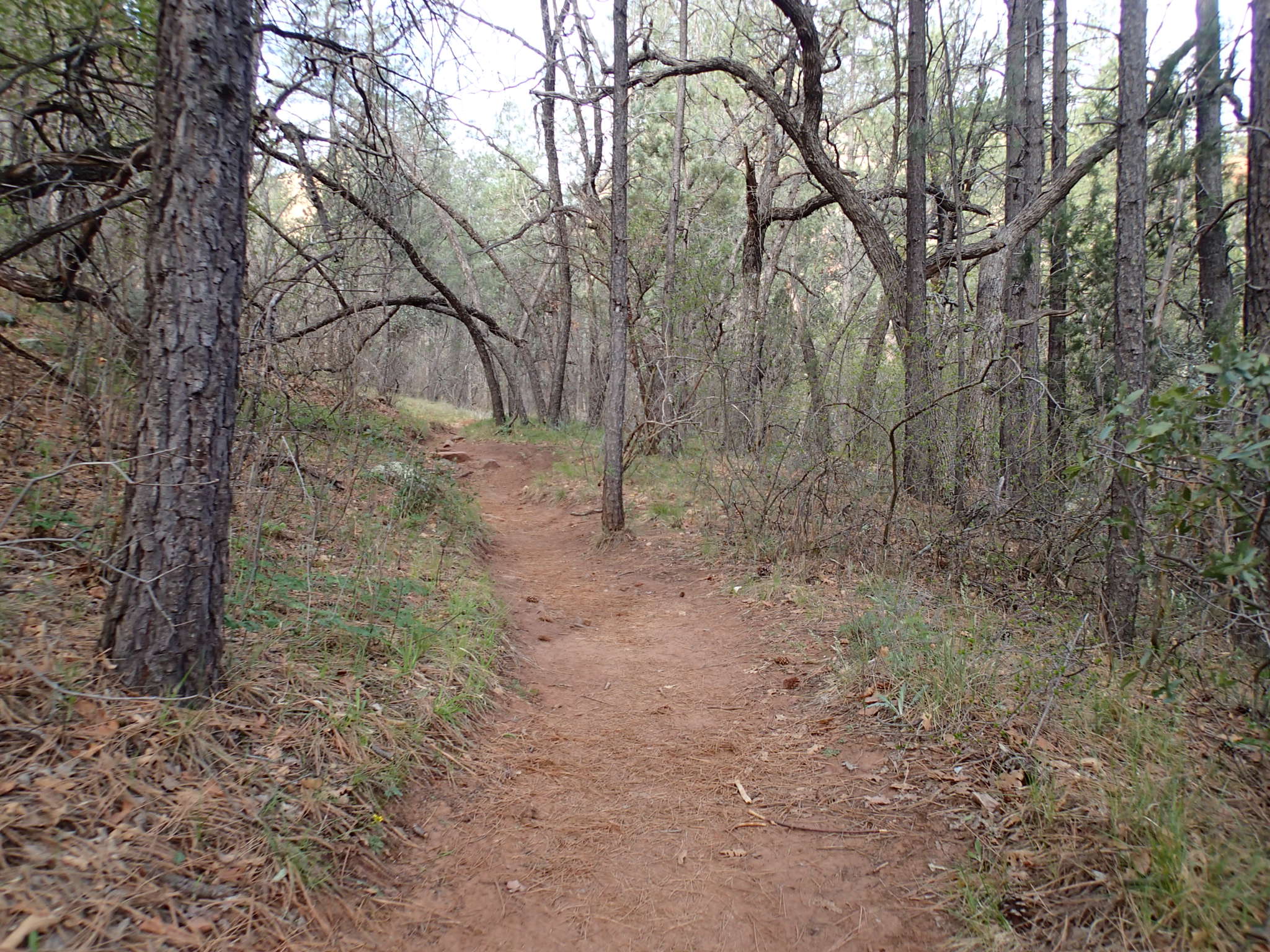 Boynton Canyon Trail