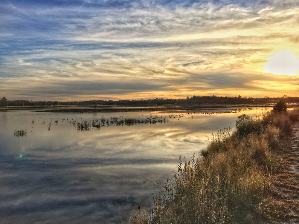 Prime Hook Wildlife Refuge Loop