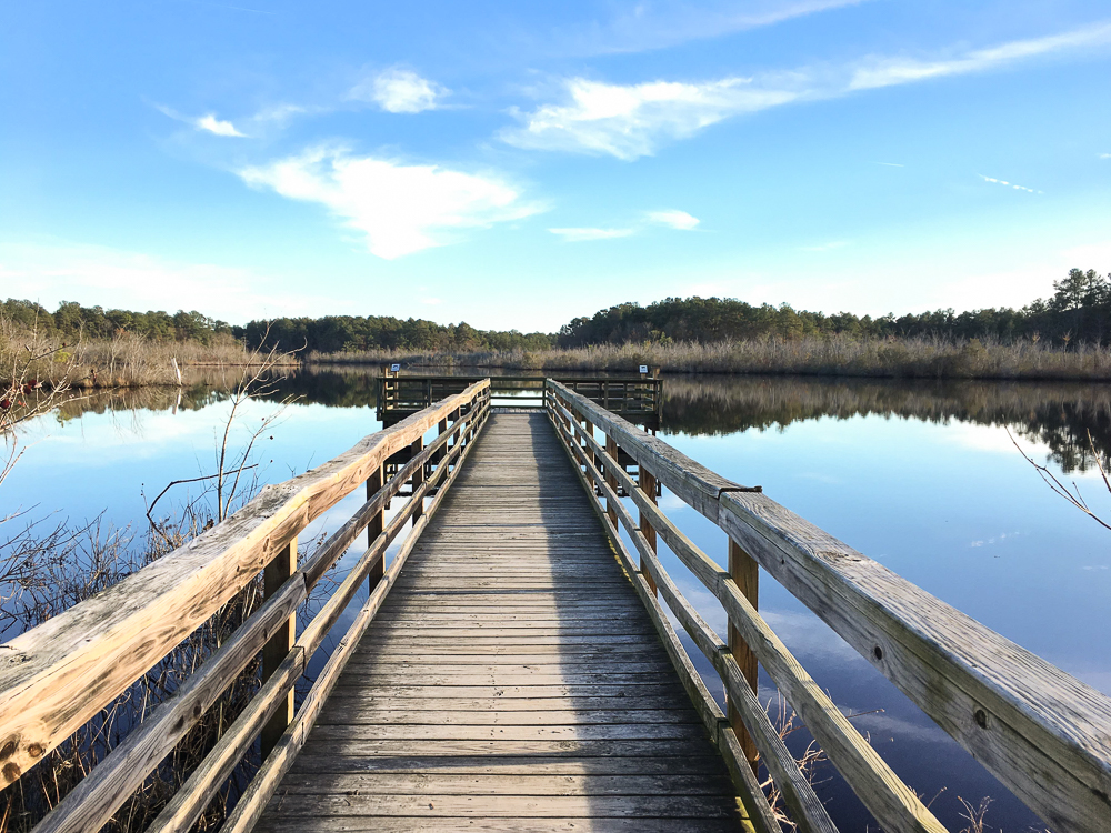Prime Hook Wildlife Refuge Loop