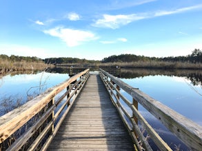 Prime Hook Wildlife Refuge Loop